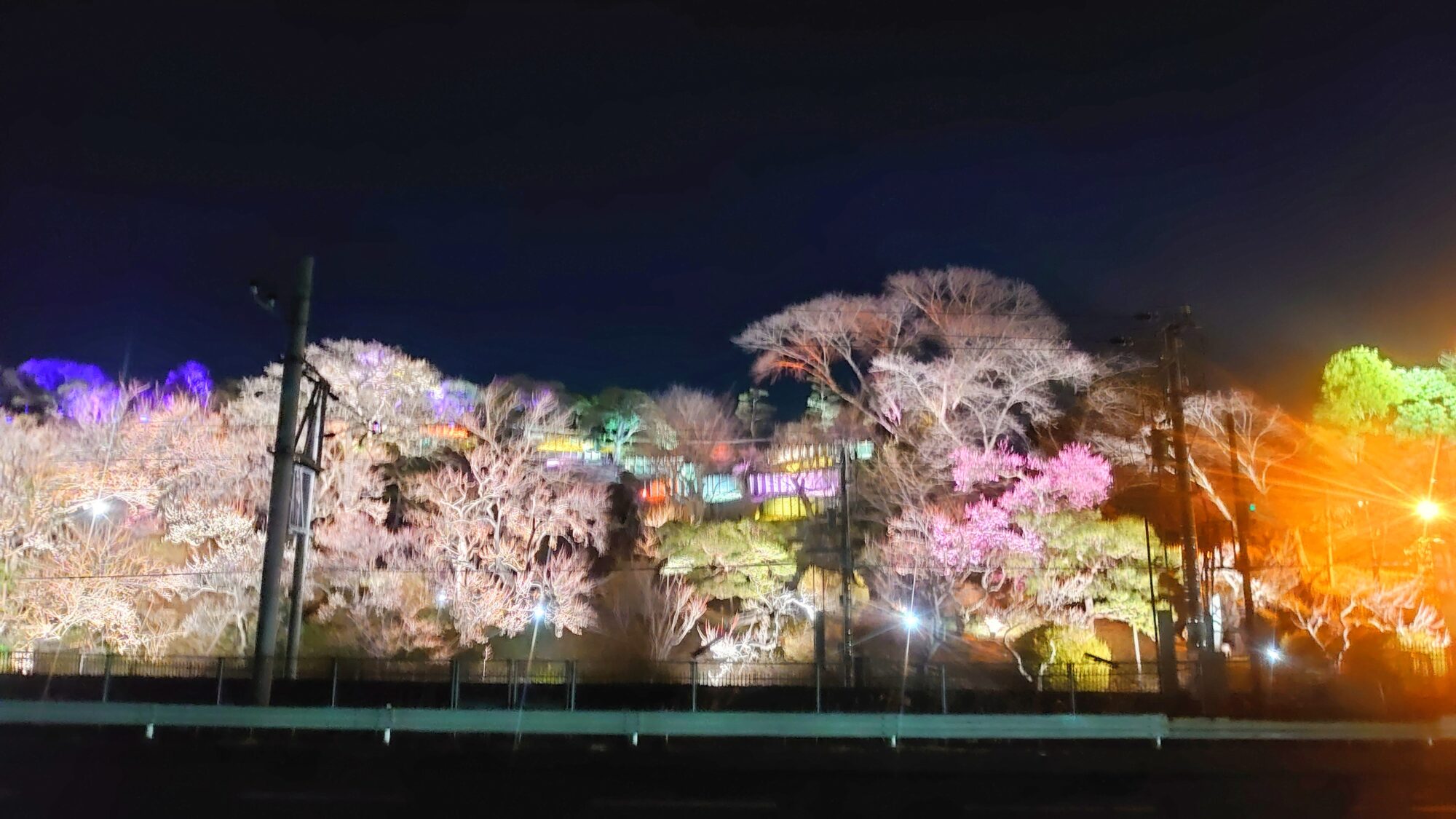 偕楽園とチームラボ