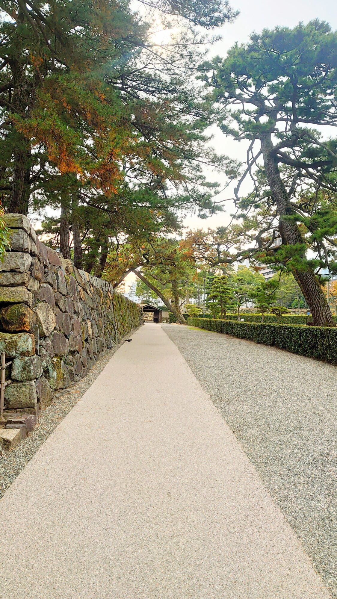 玉藻公園