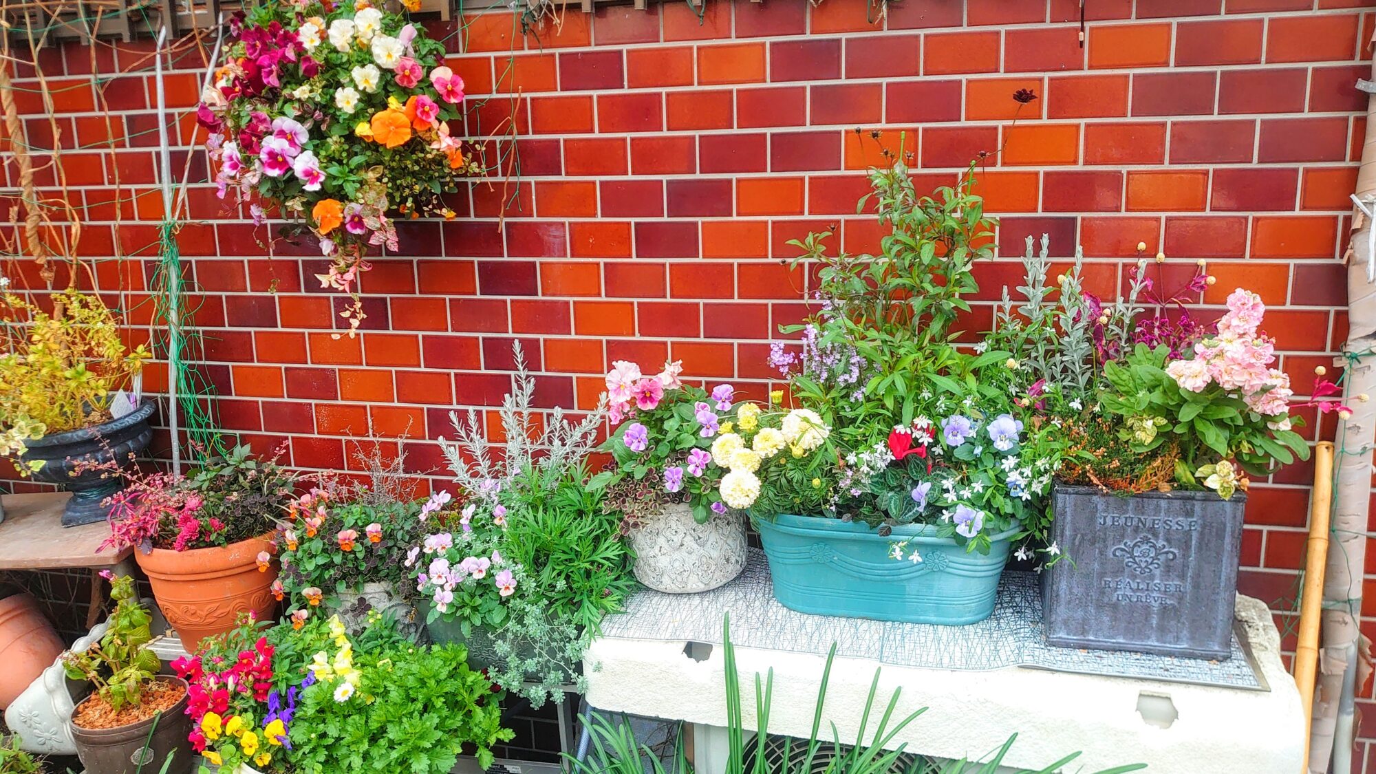 高松の住宅の花壇