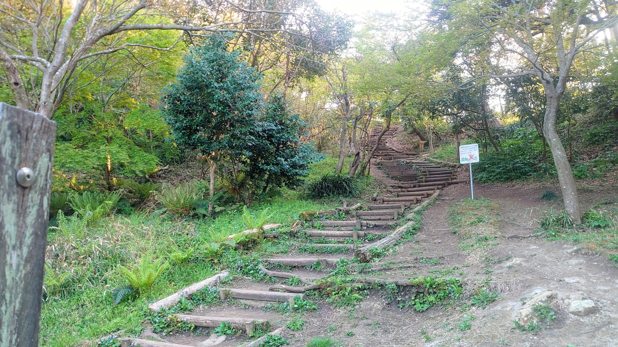 新林公園山道入口