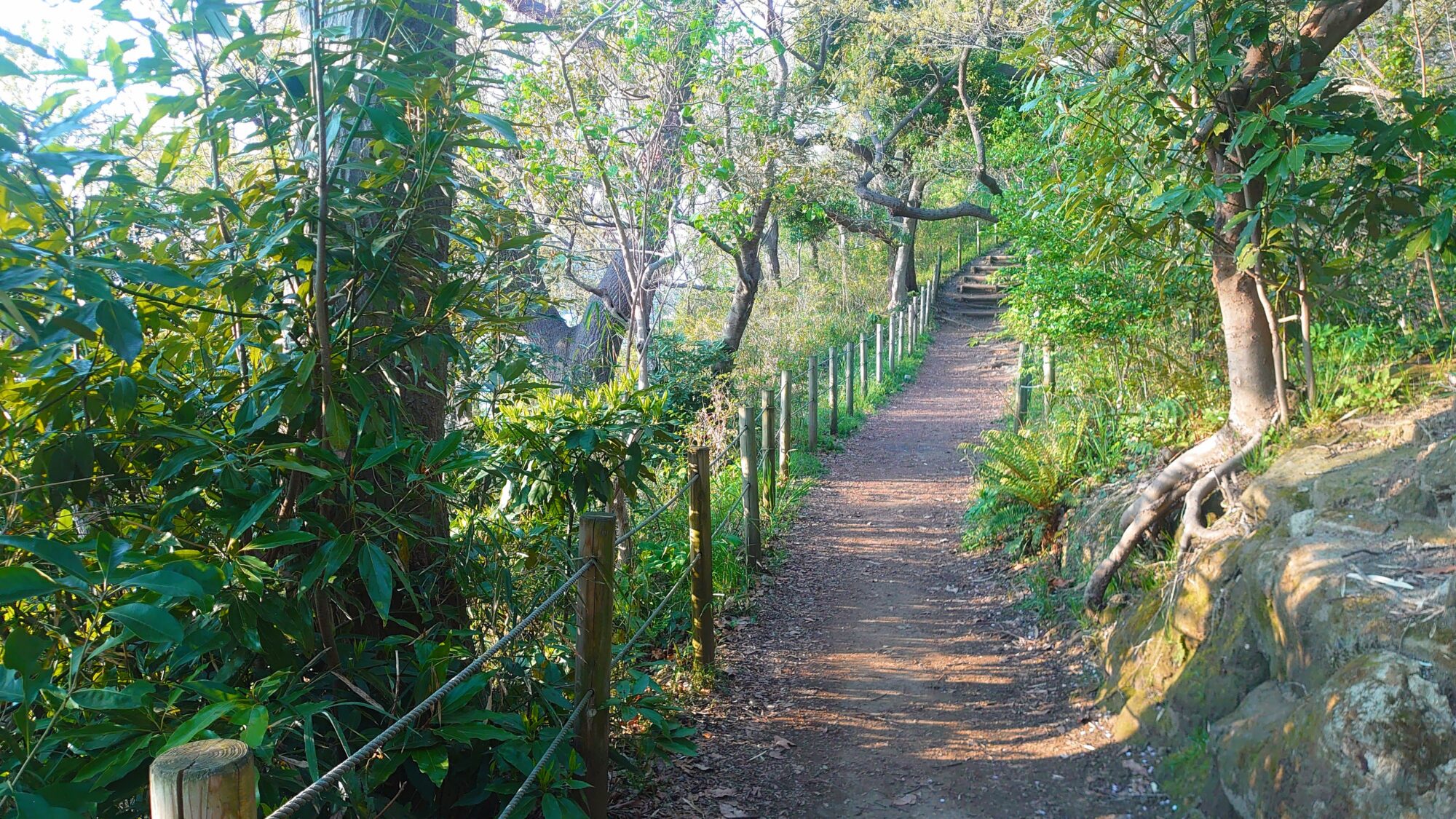 新林公園山道
