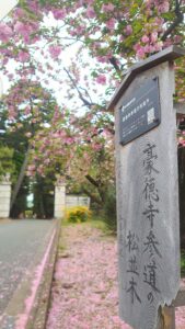 豪徳寺参道