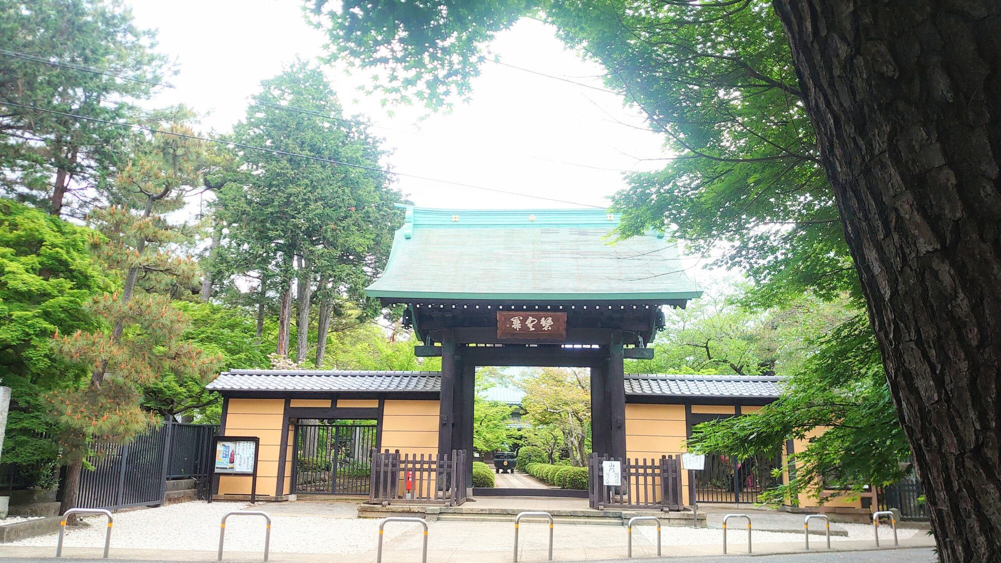 豪徳寺山門