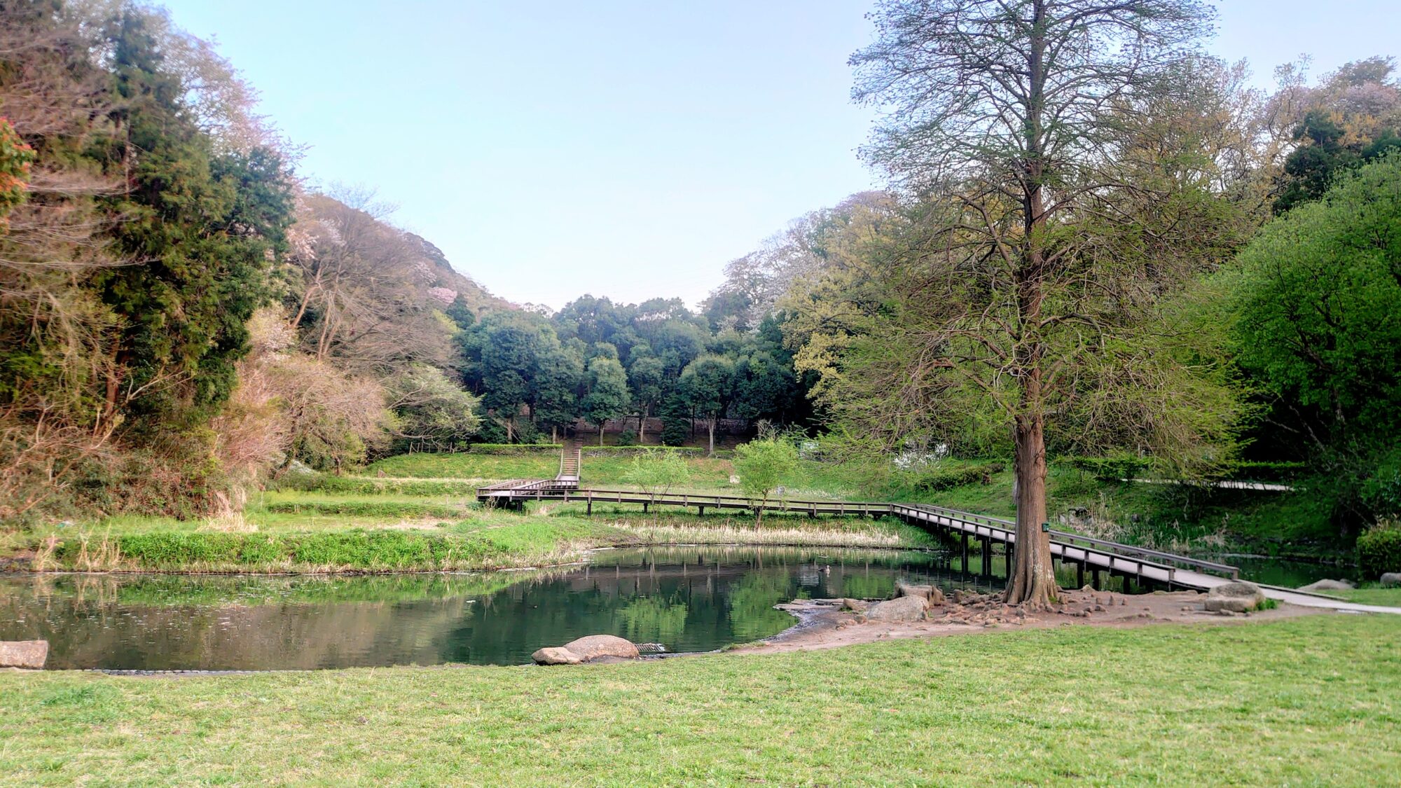 新林公園湿地地帯