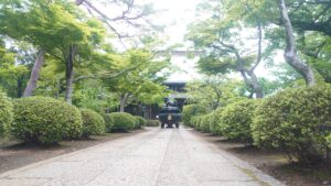 豪徳寺境内