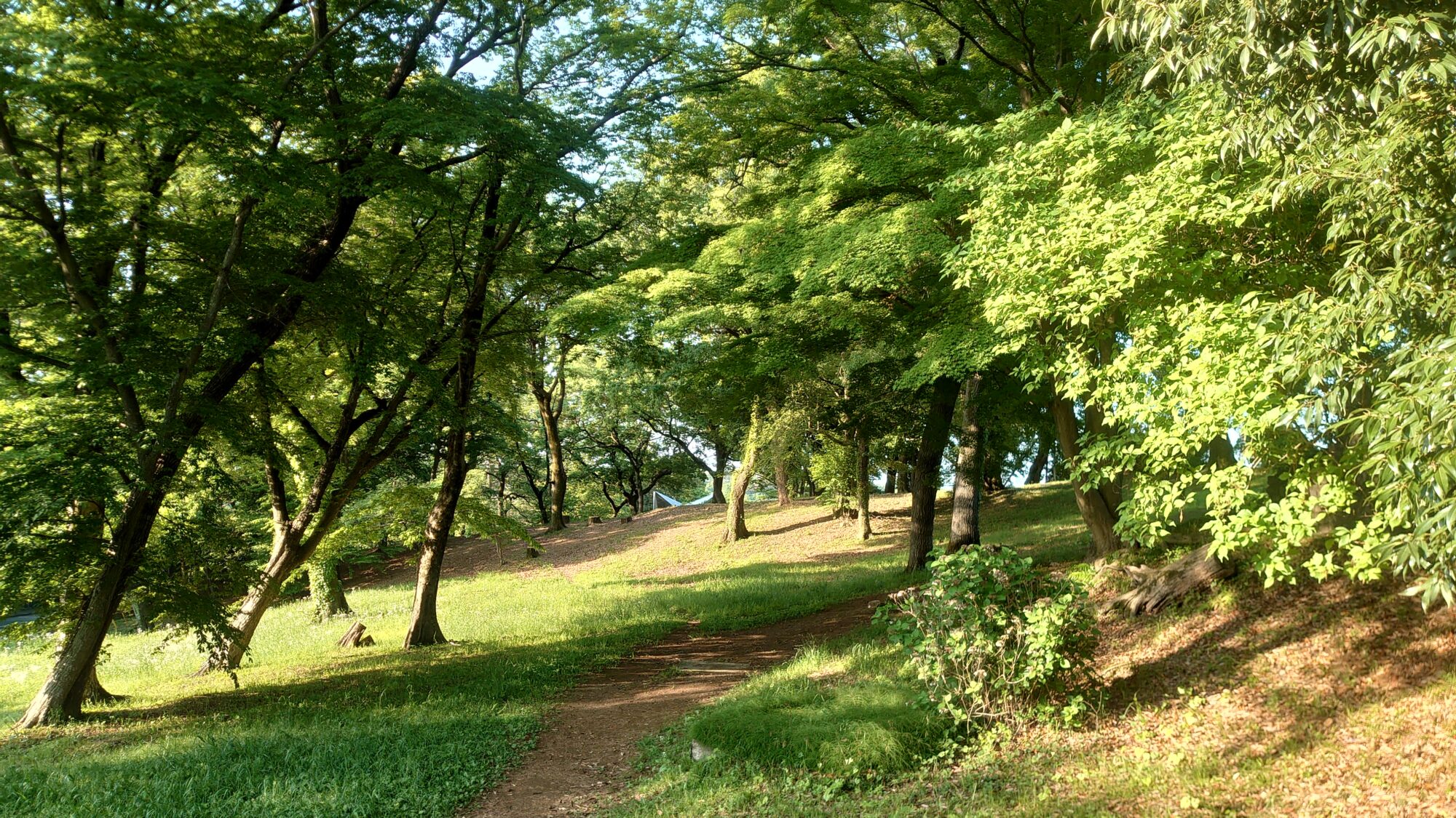 狭山公園