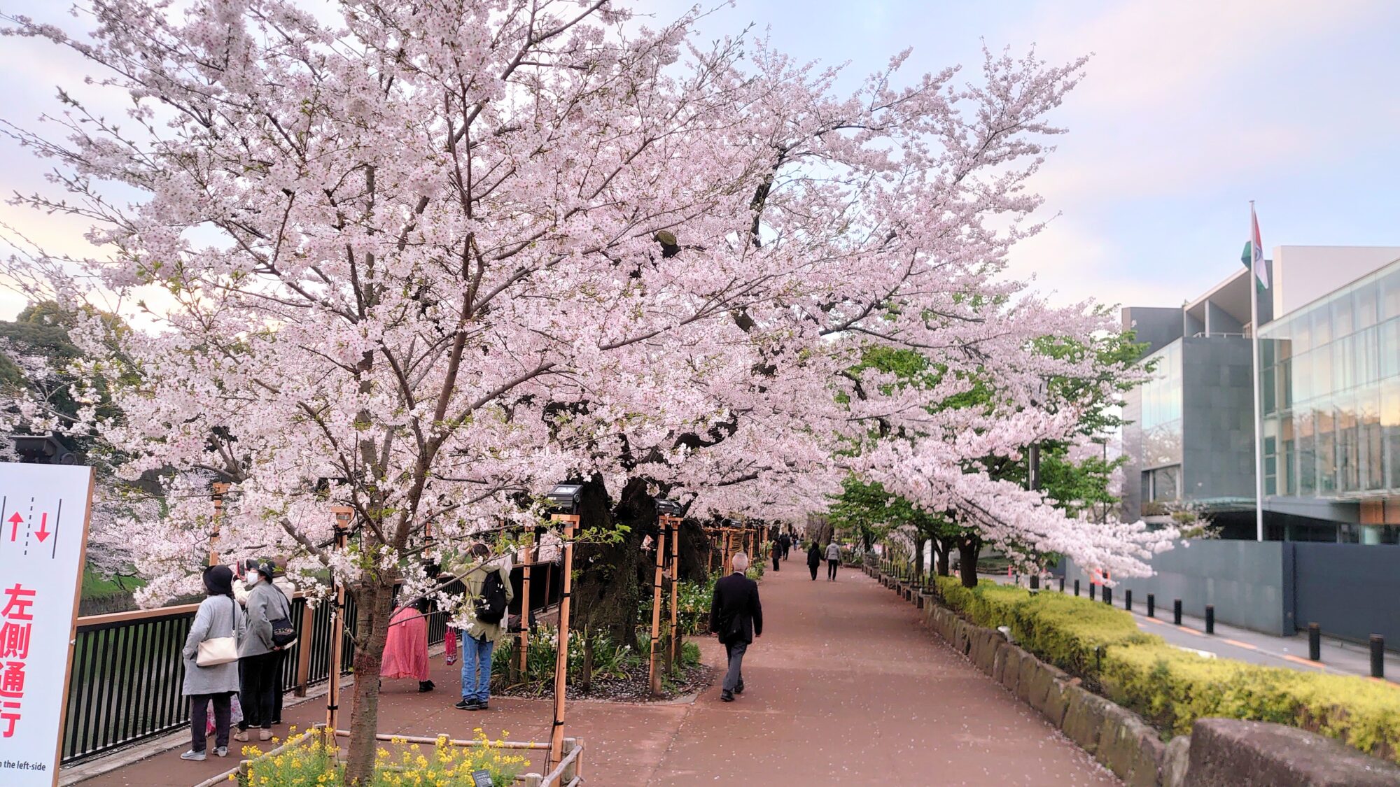 千鳥ヶ淵緑道入口