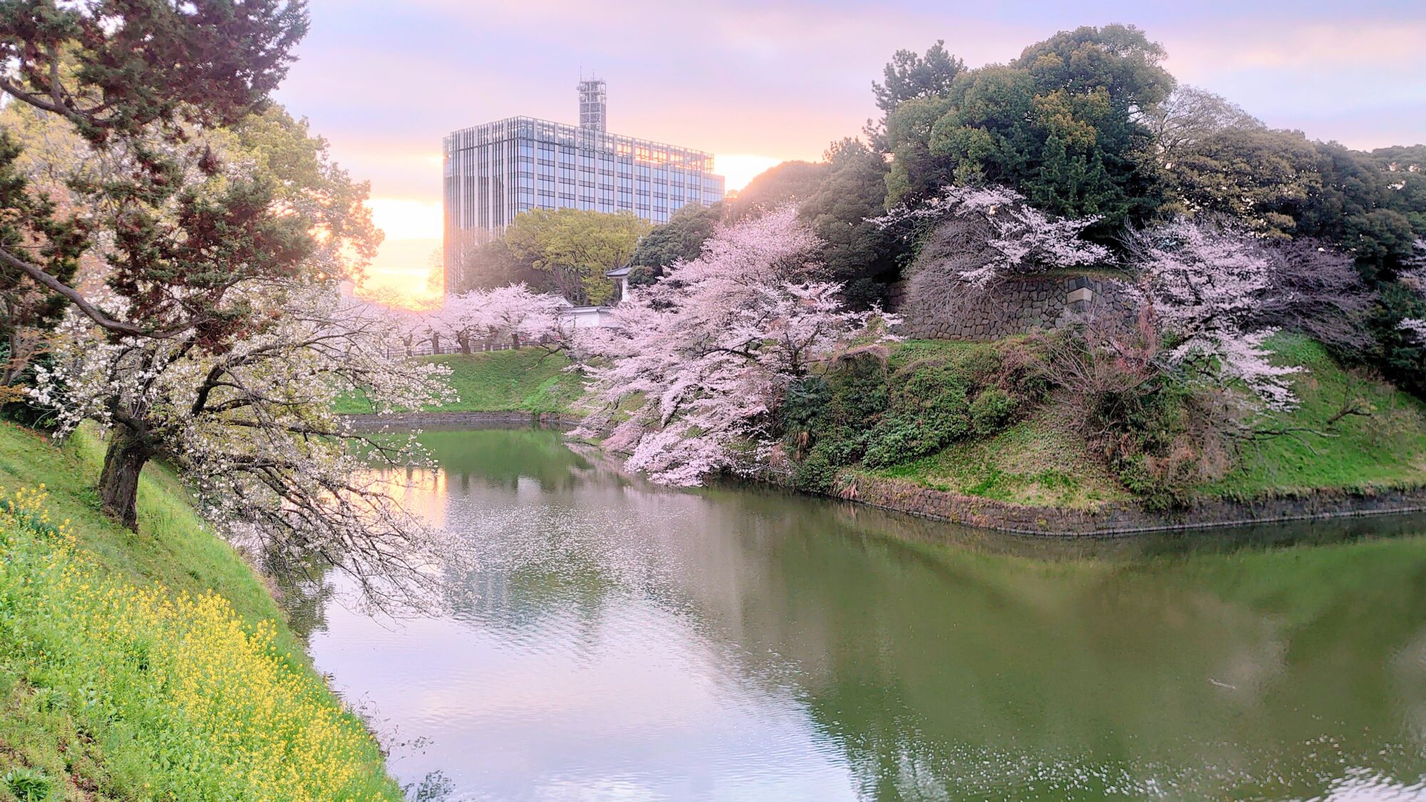 千鳥ヶ淵緑道