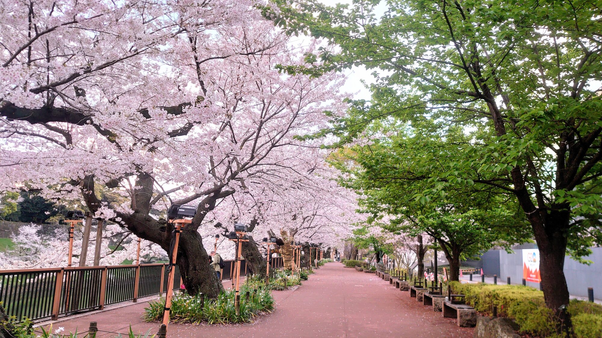 千鳥ヶ淵緑道