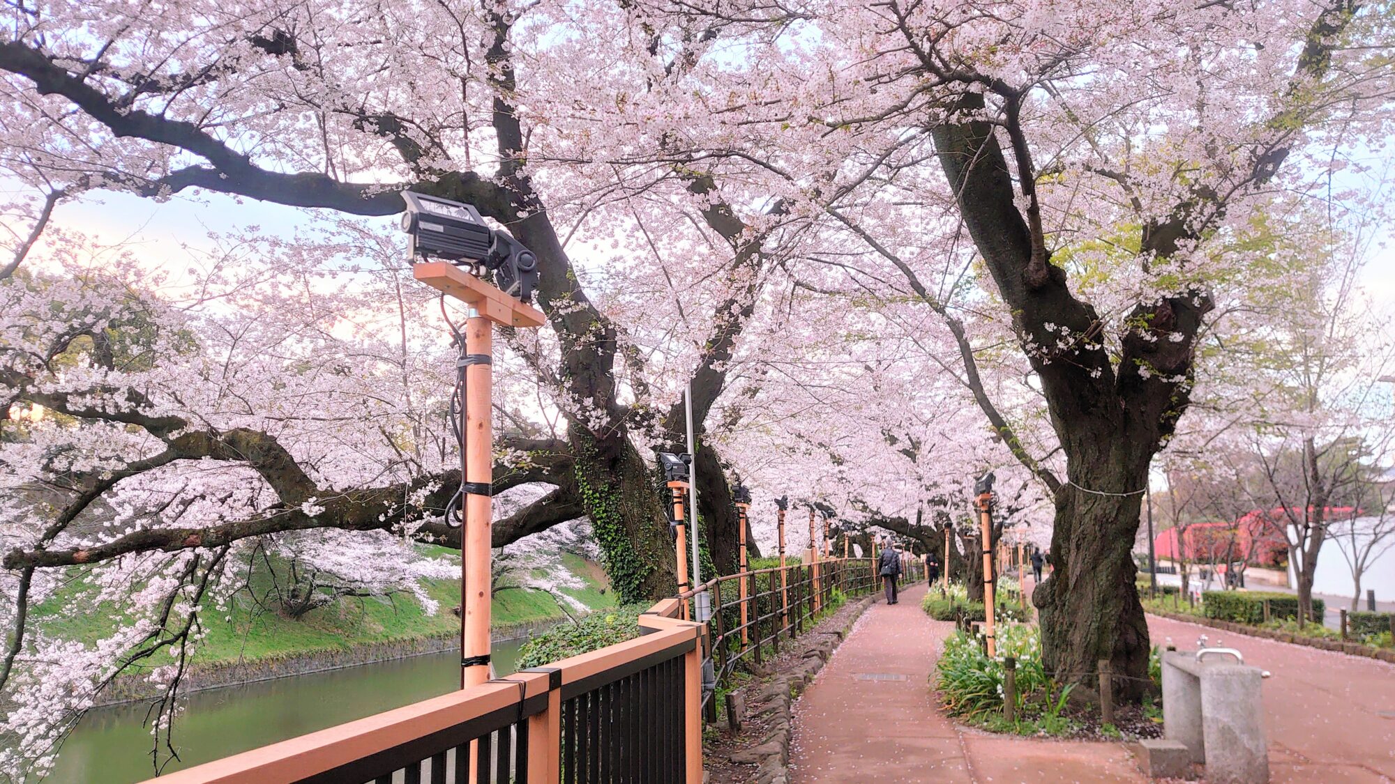 千鳥ヶ淵緑道