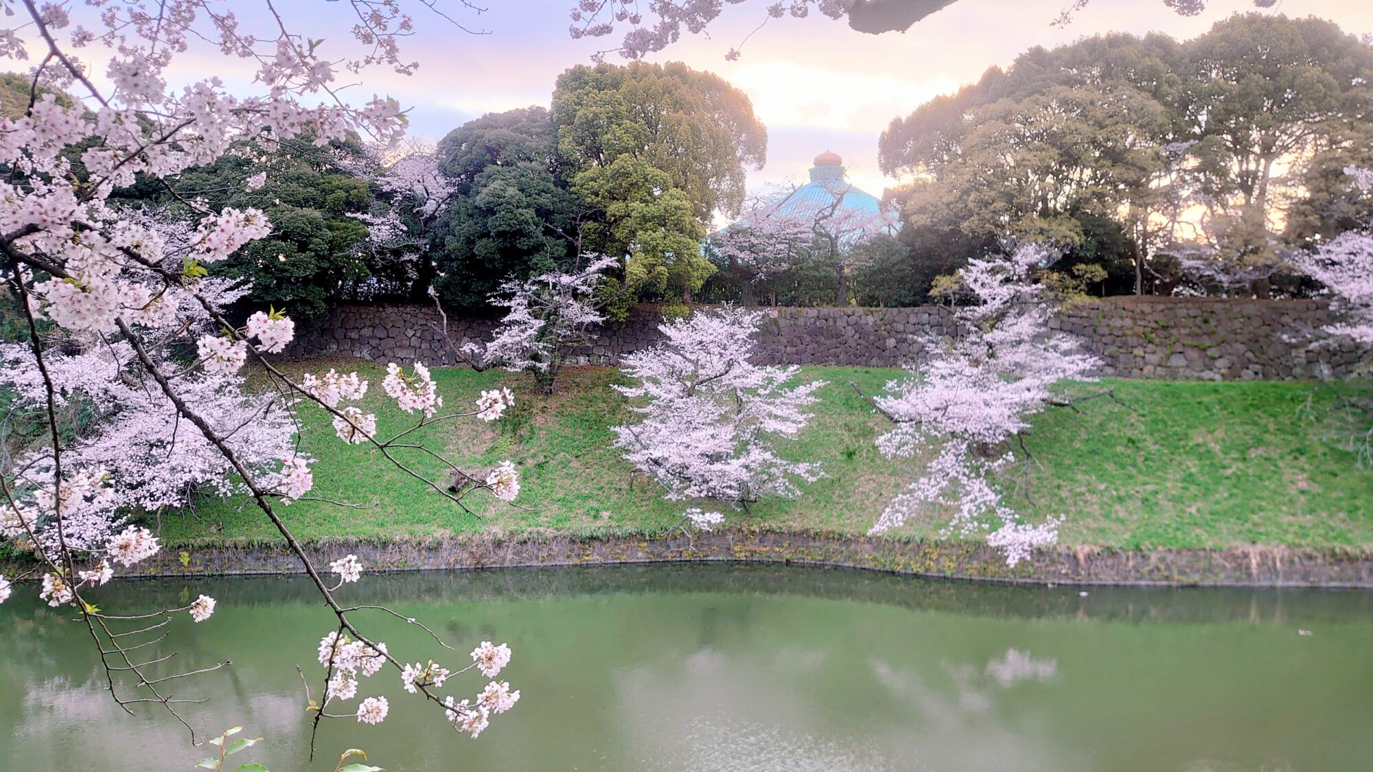 千鳥ヶ淵緑道