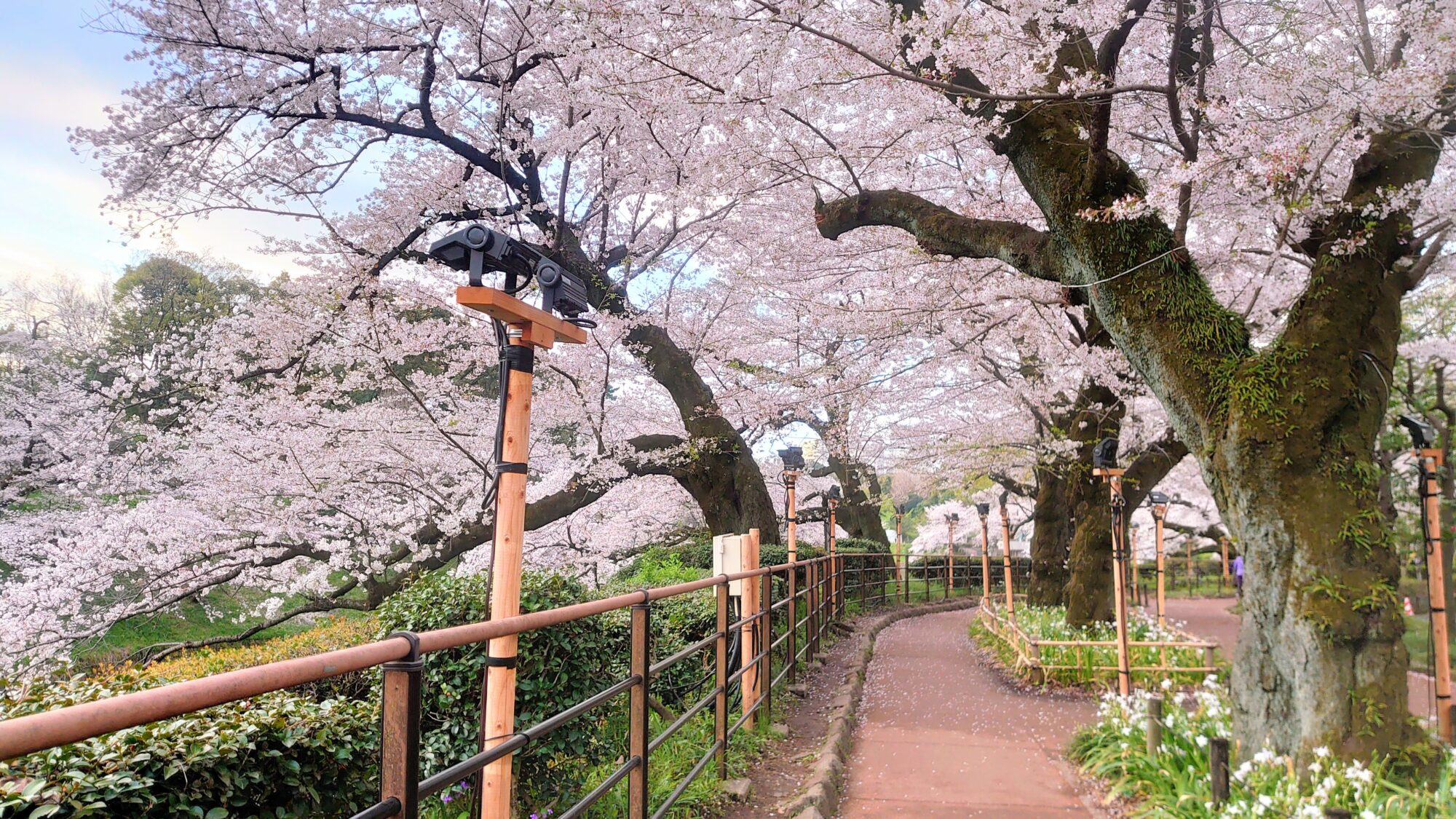 千鳥ヶ淵緑道