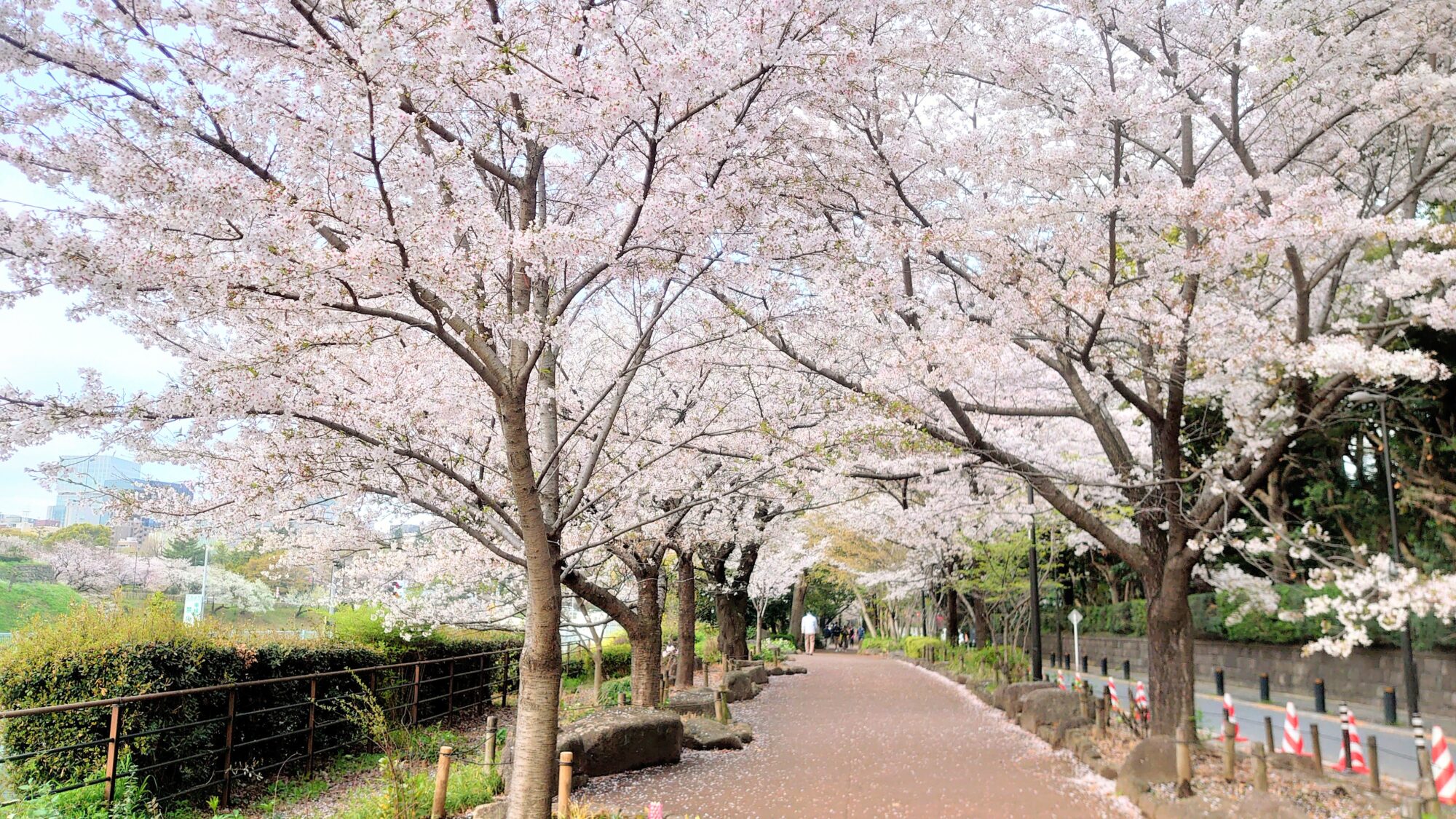 千鳥ヶ淵緑道