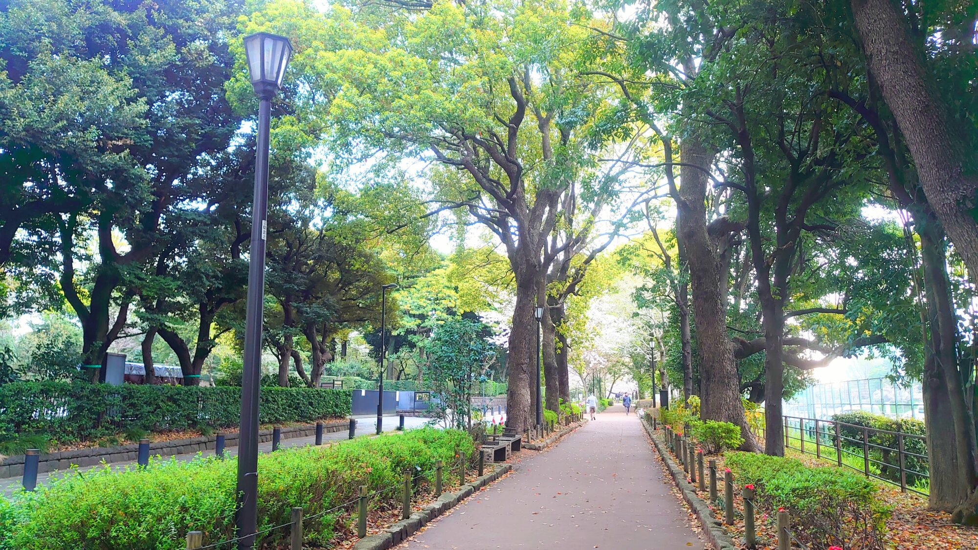 千鳥ヶ淵緑道