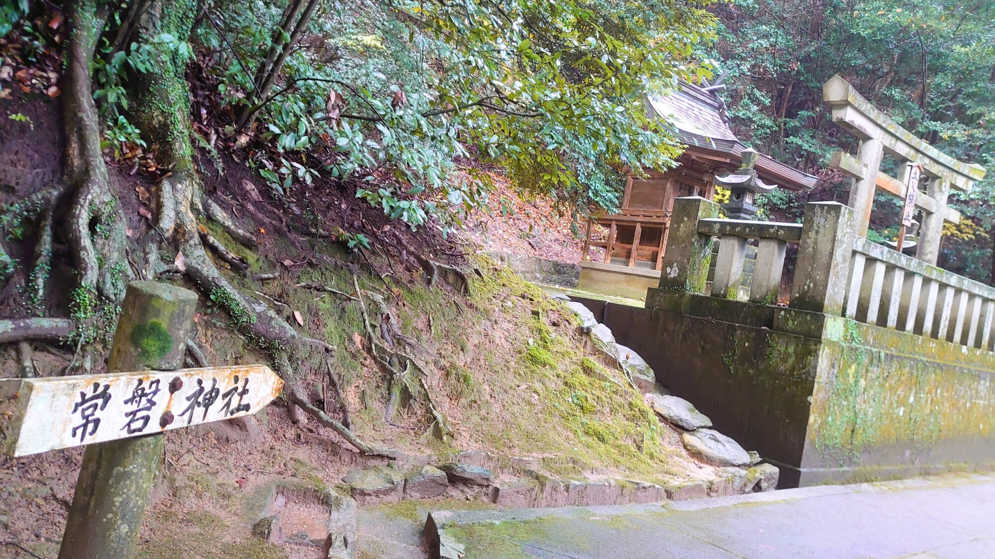 金刀比羅宮常盤神社