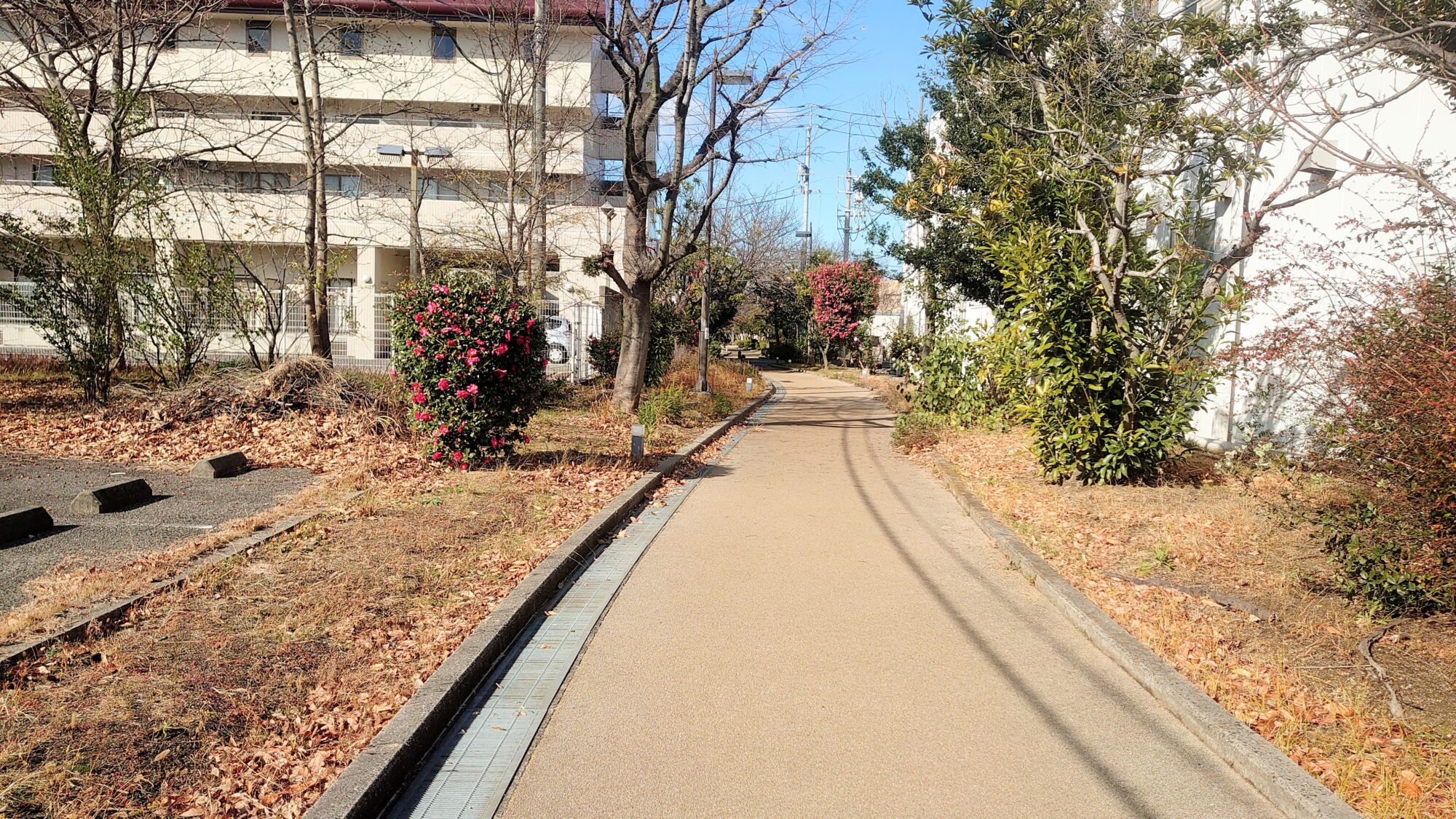 宇多津町