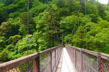 回顧の吊り橋