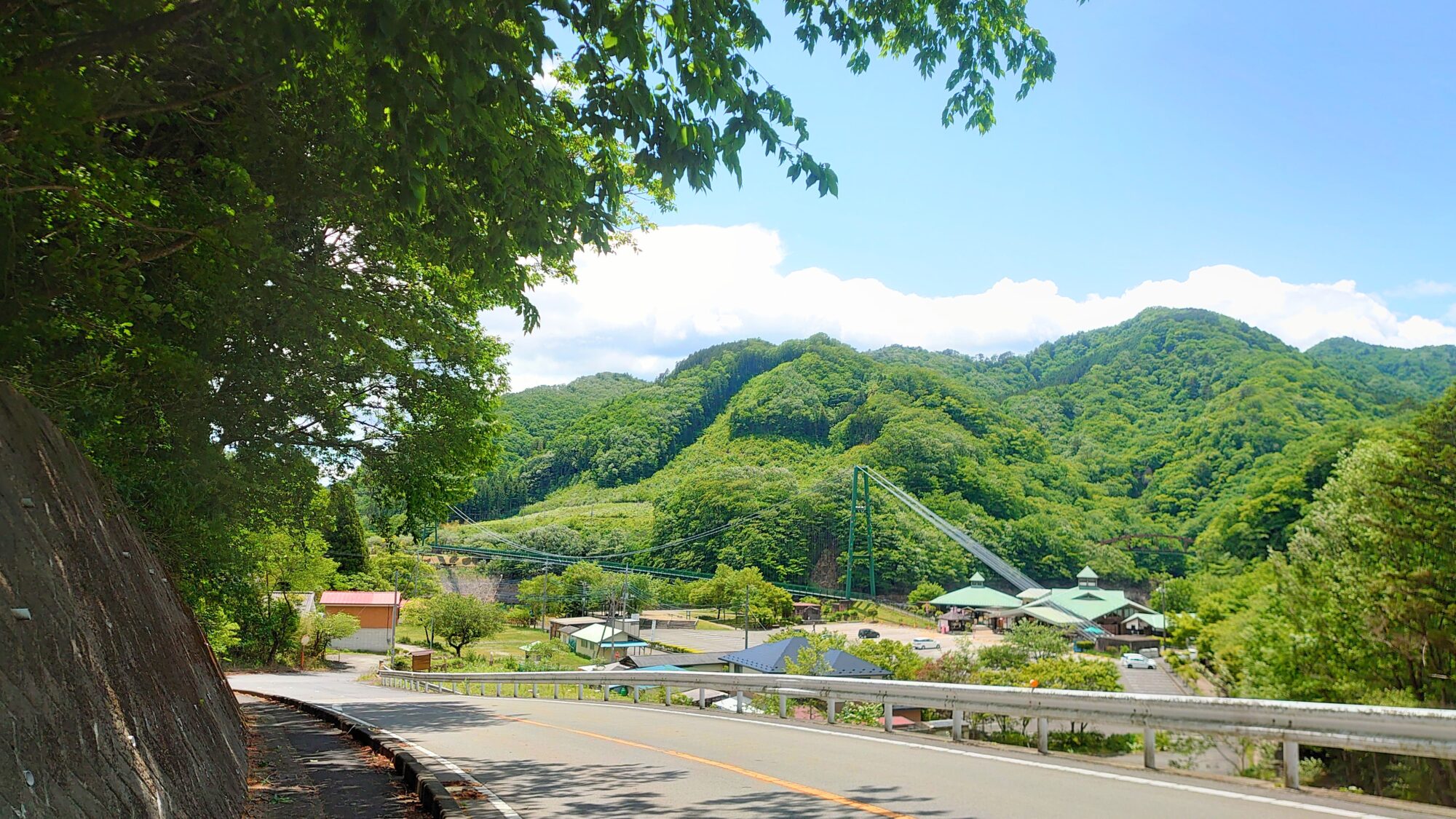 遠目から見たもみじ谷大吊橋