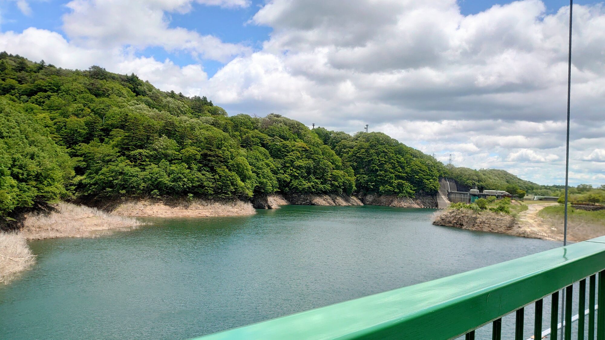 もみじ谷大吊橋からの景色