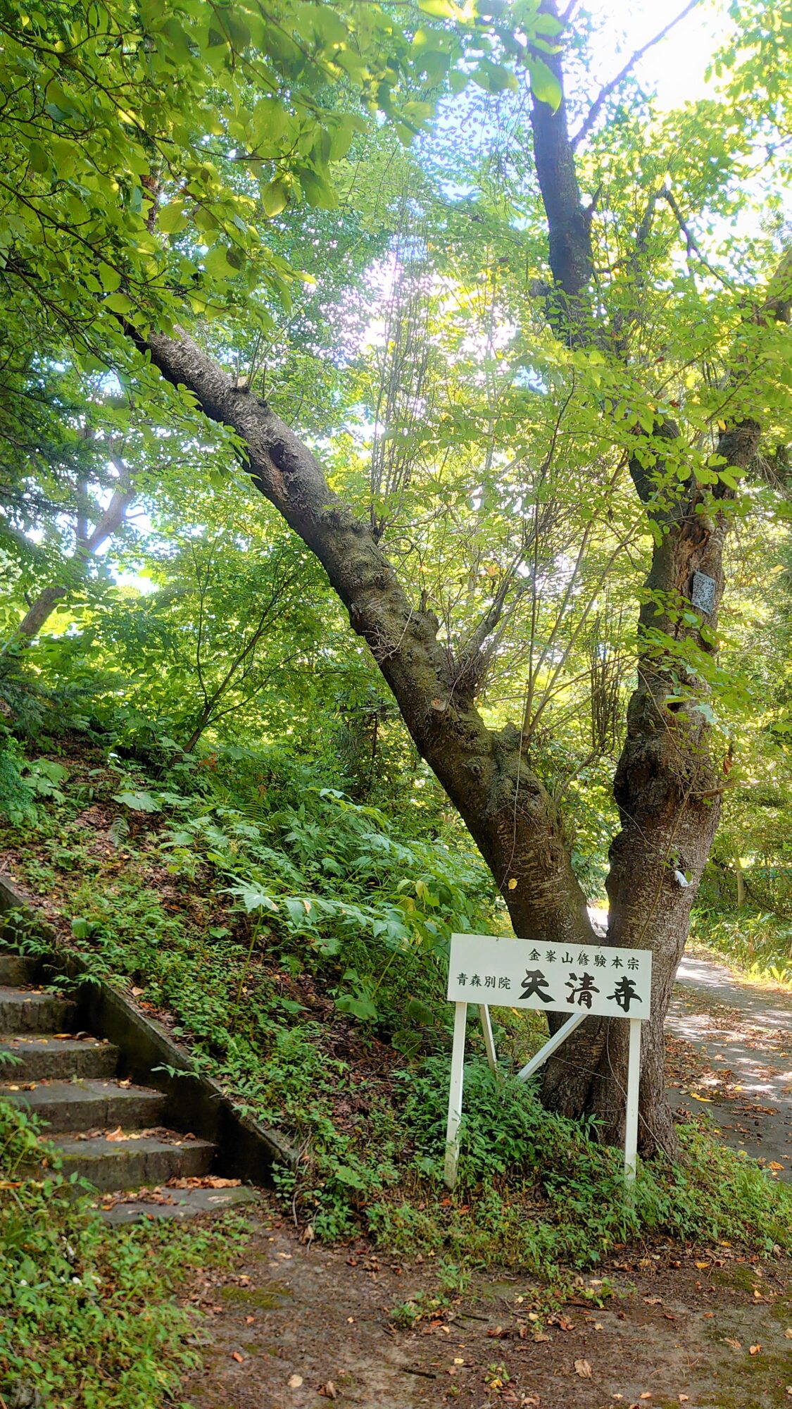 天清寺