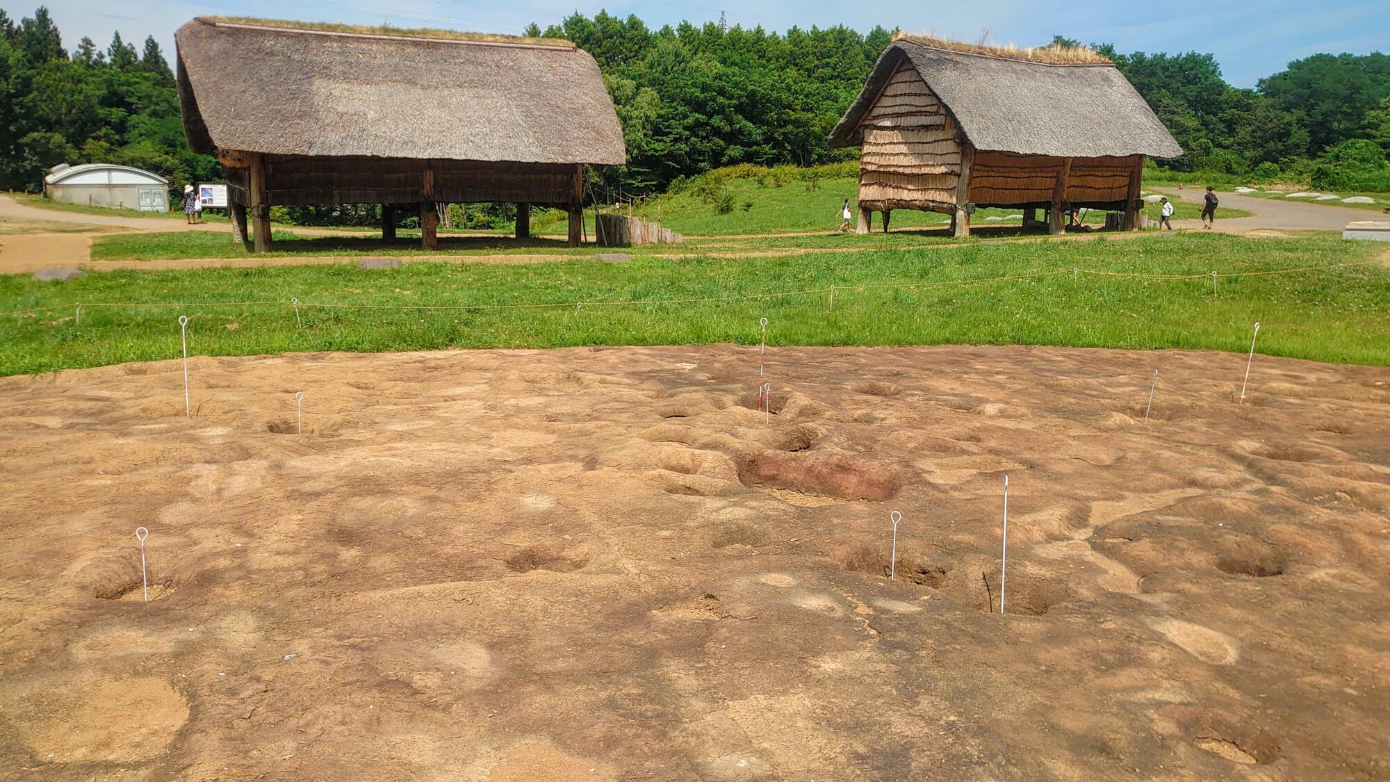 大型掘立柱建物跡