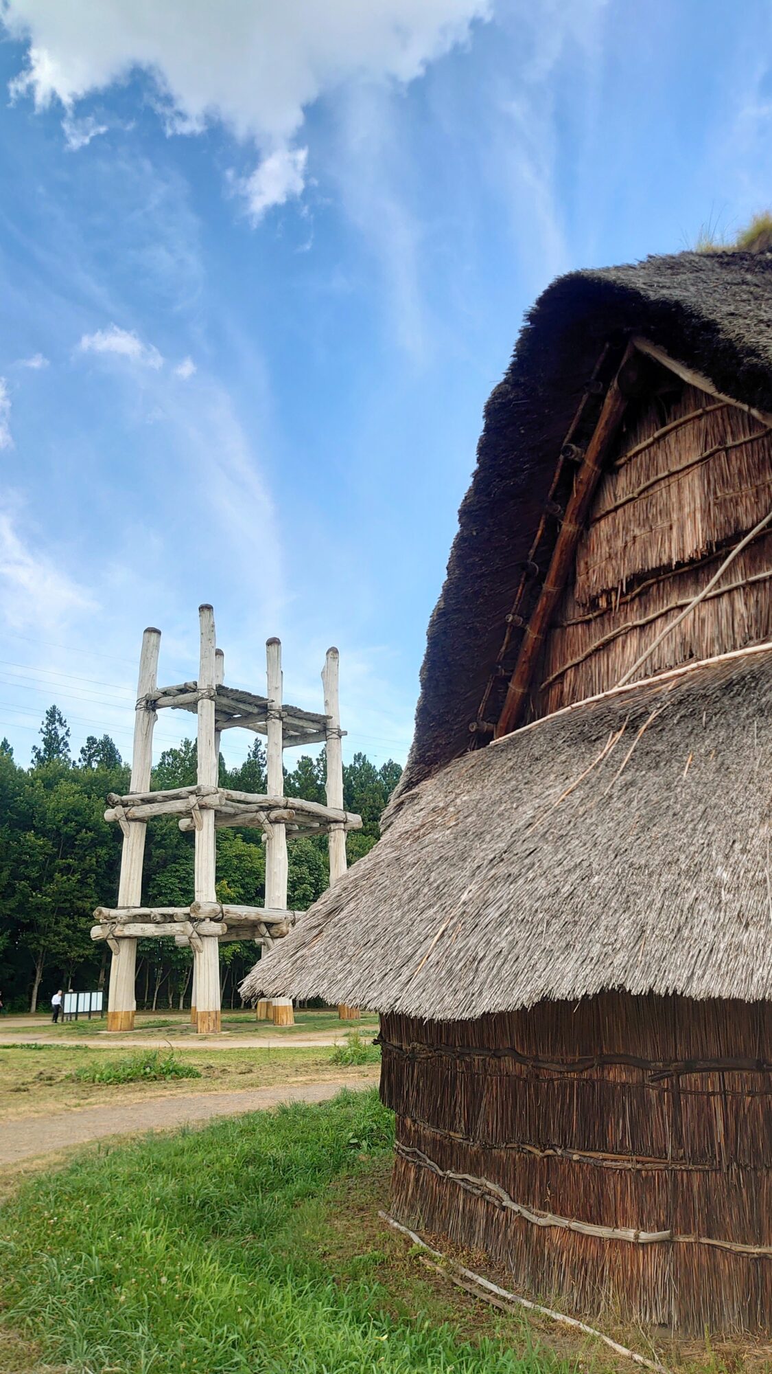 大型竪穴建物と大型掘立柱建物