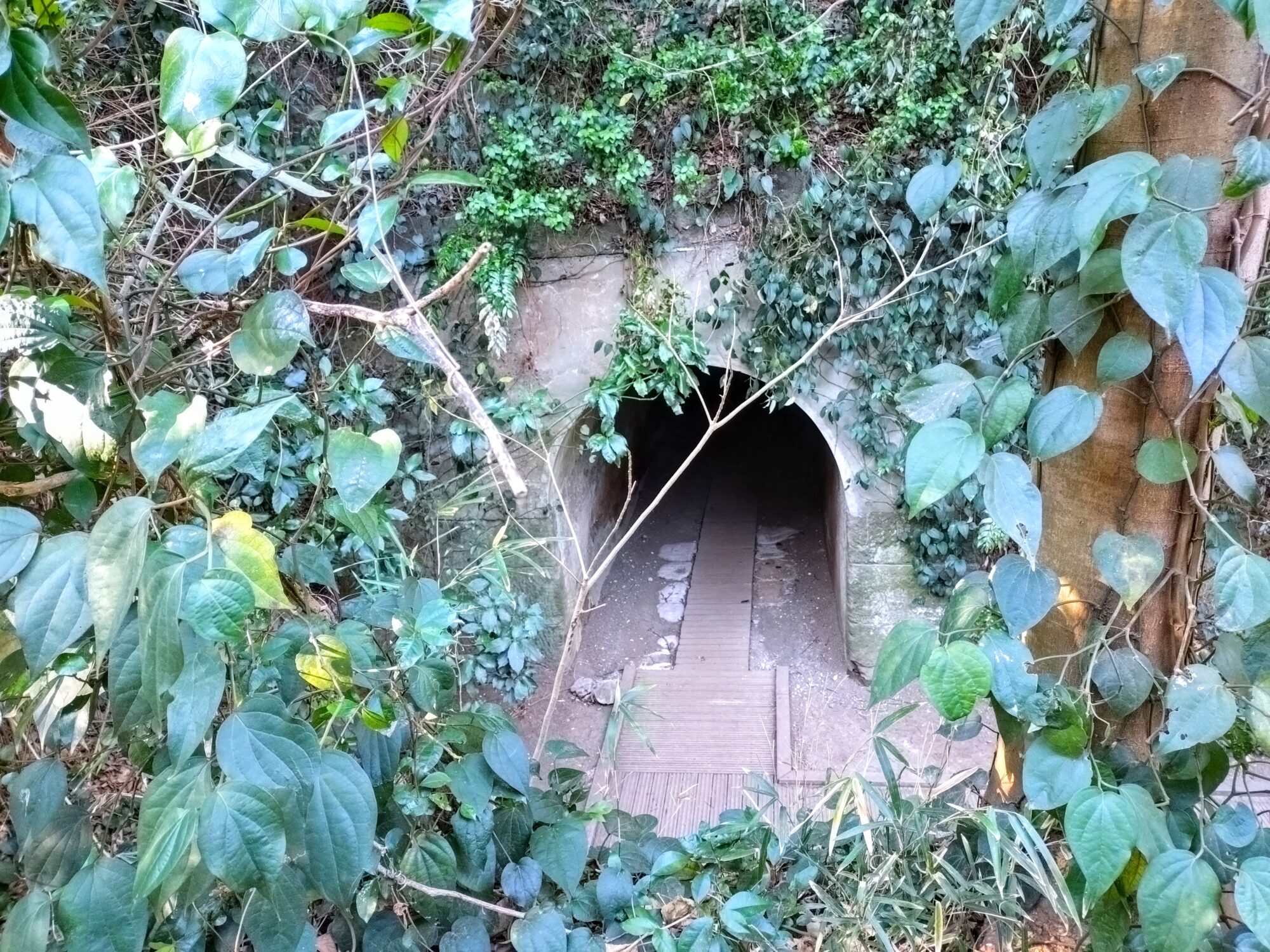 猿島のトンネル