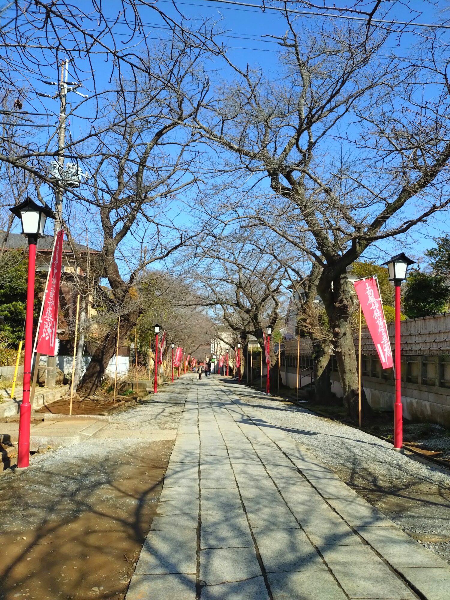 法華経寺の参道
