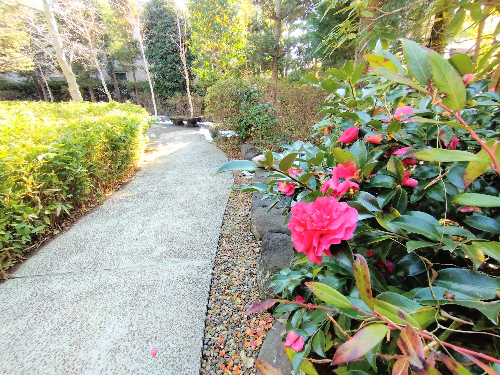 市川市東山魁夷記念館