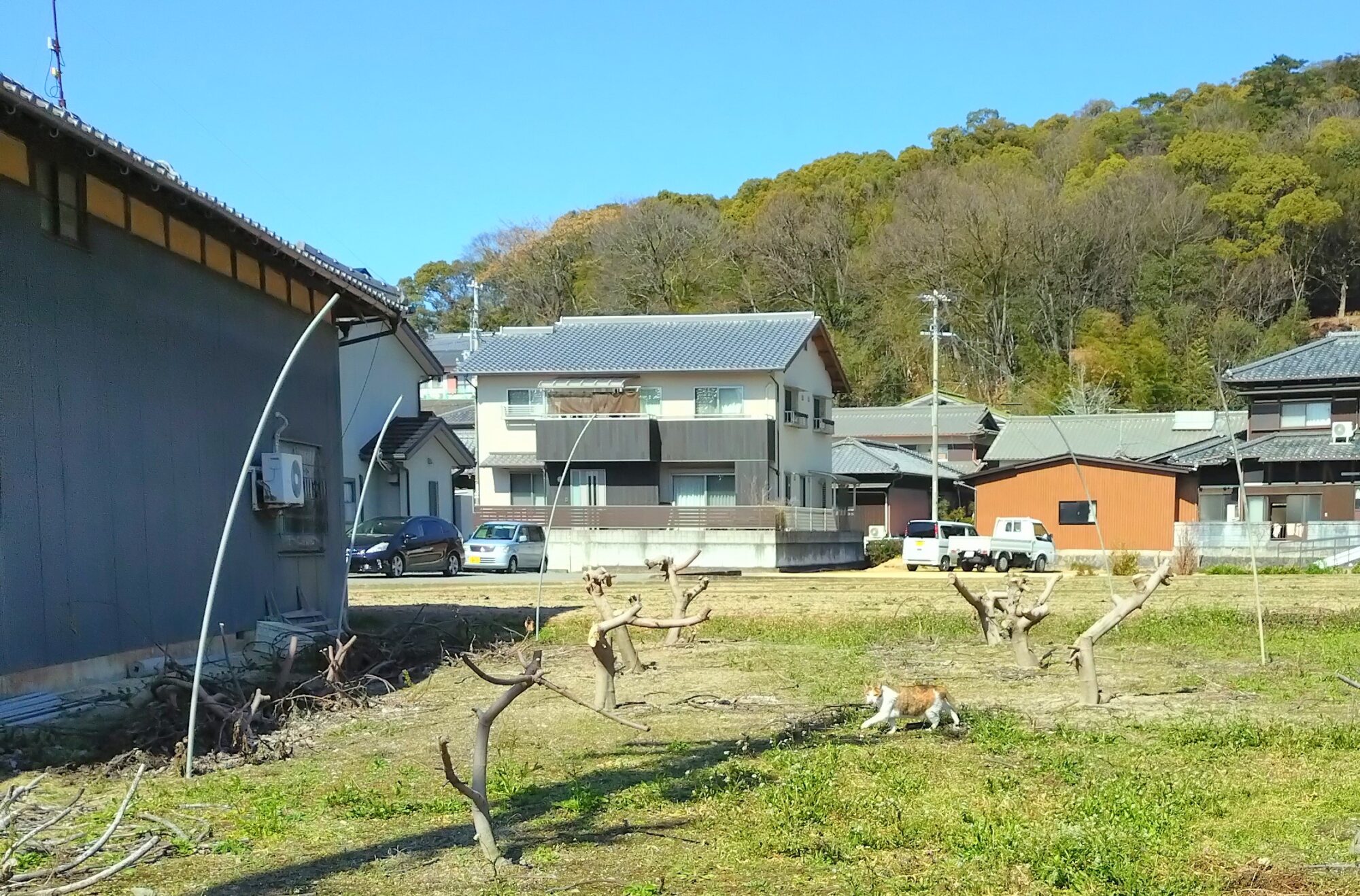 観音寺市