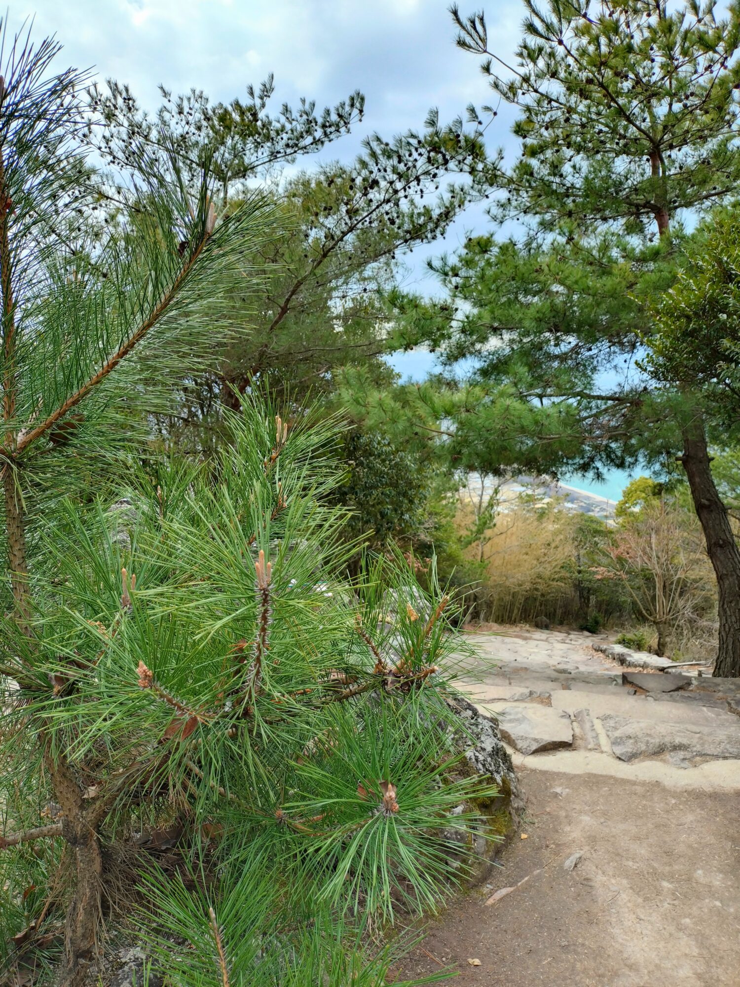 高屋神社