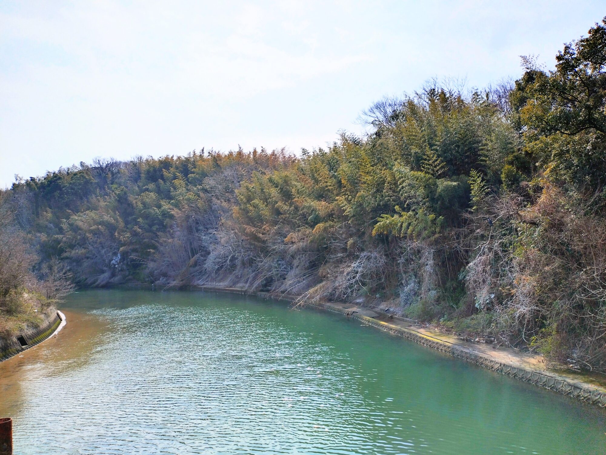 淡路島 郡家川