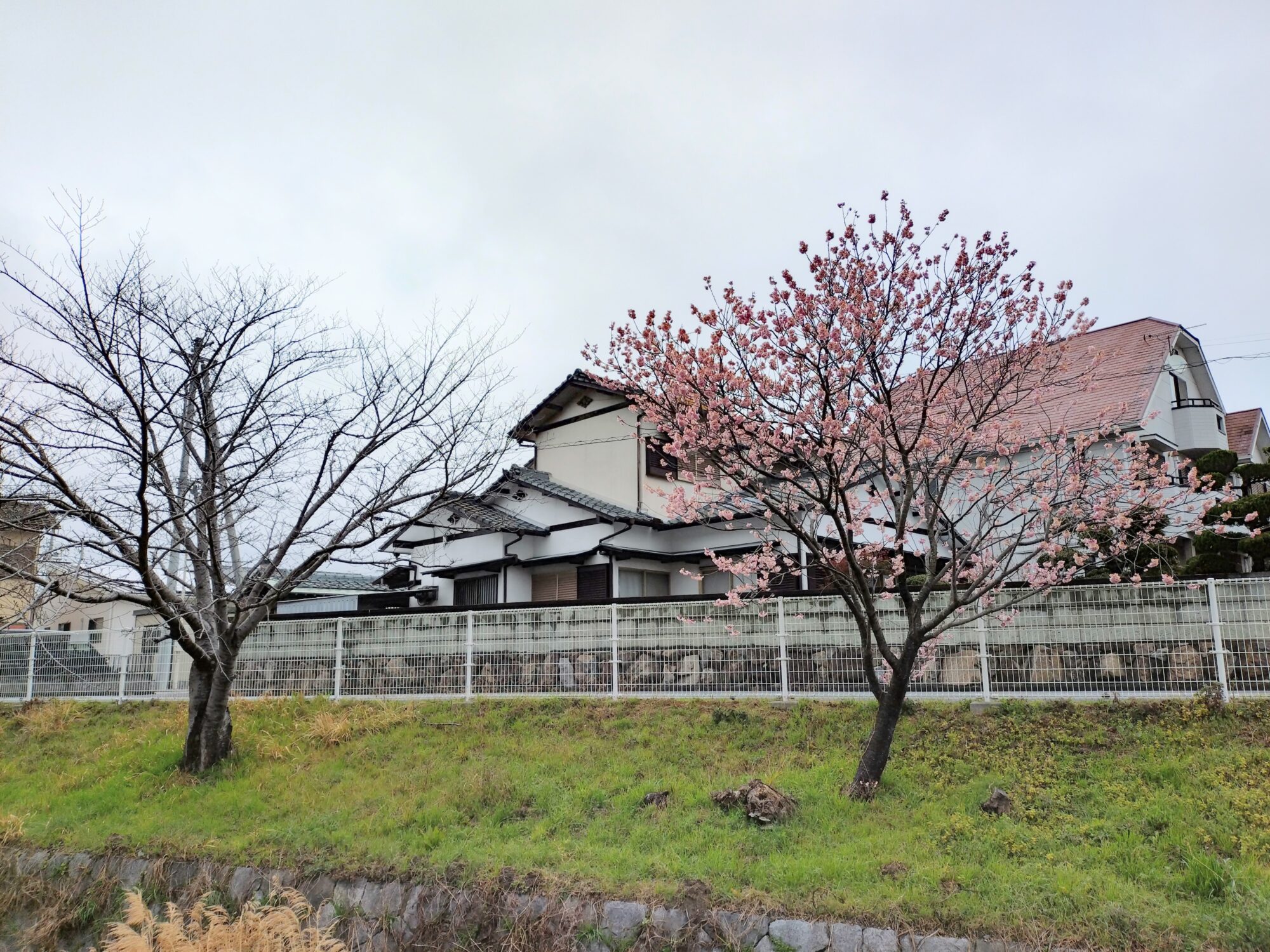 高松市牟礼