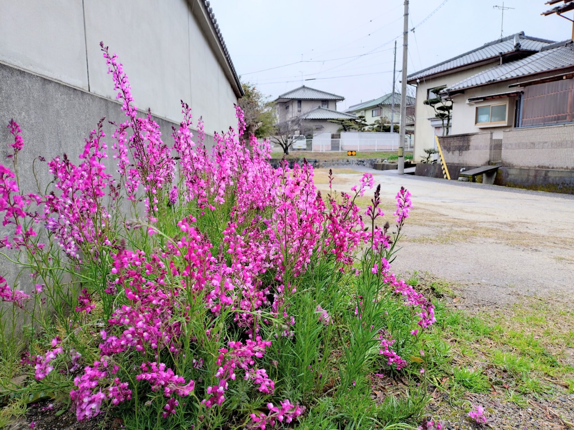 高松市牟礼