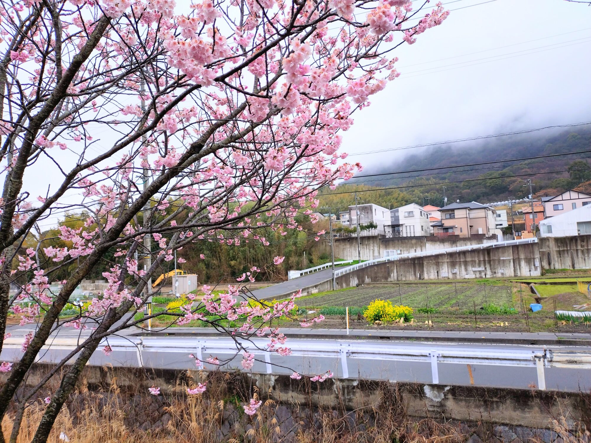 高松市牟礼