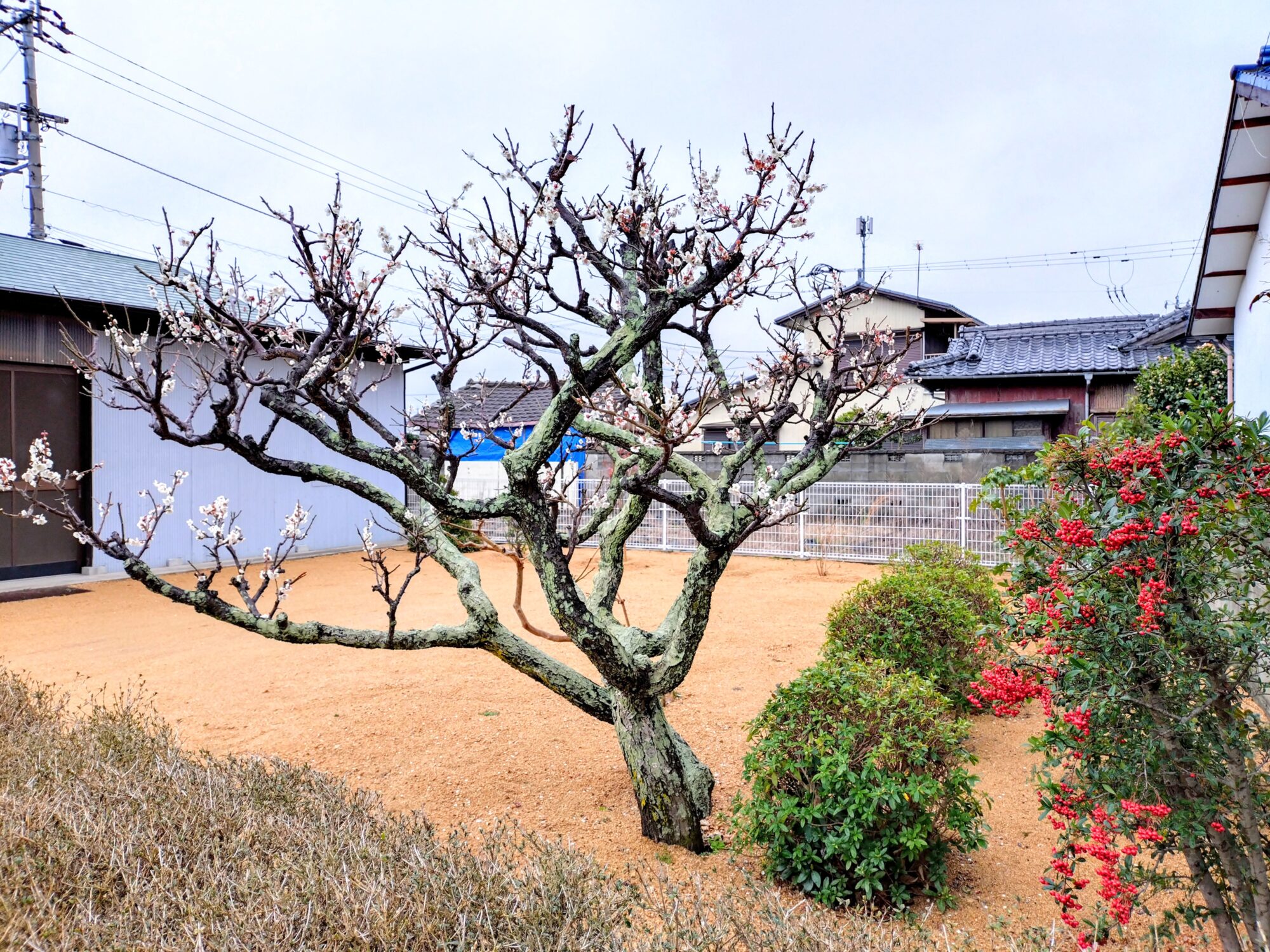 高松市牟礼