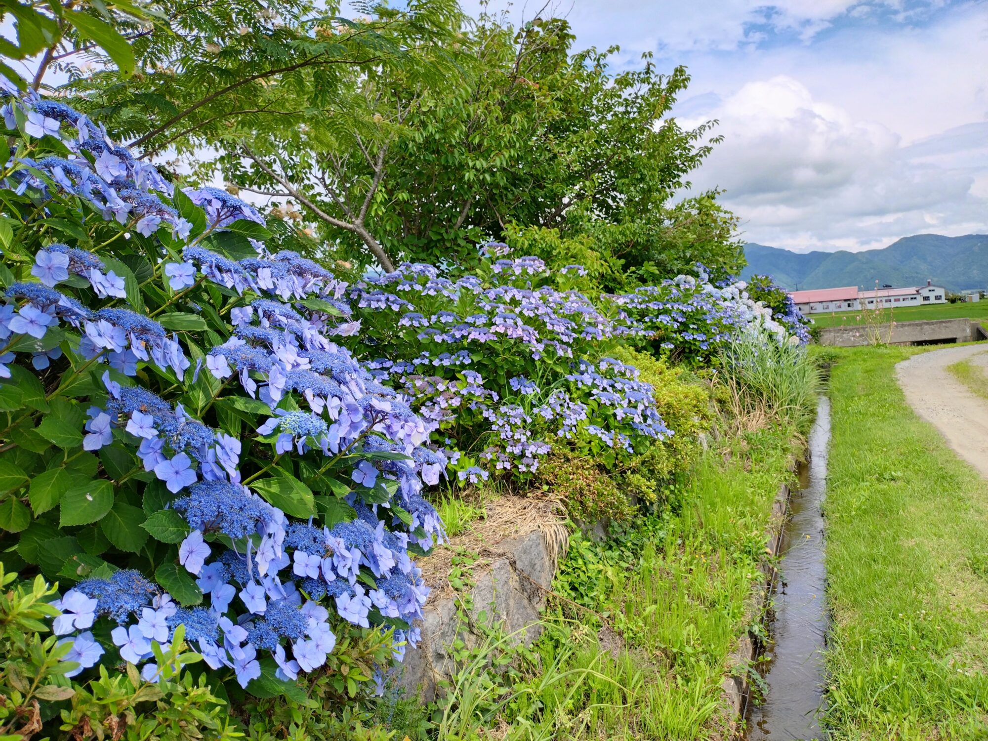 猪苗代町