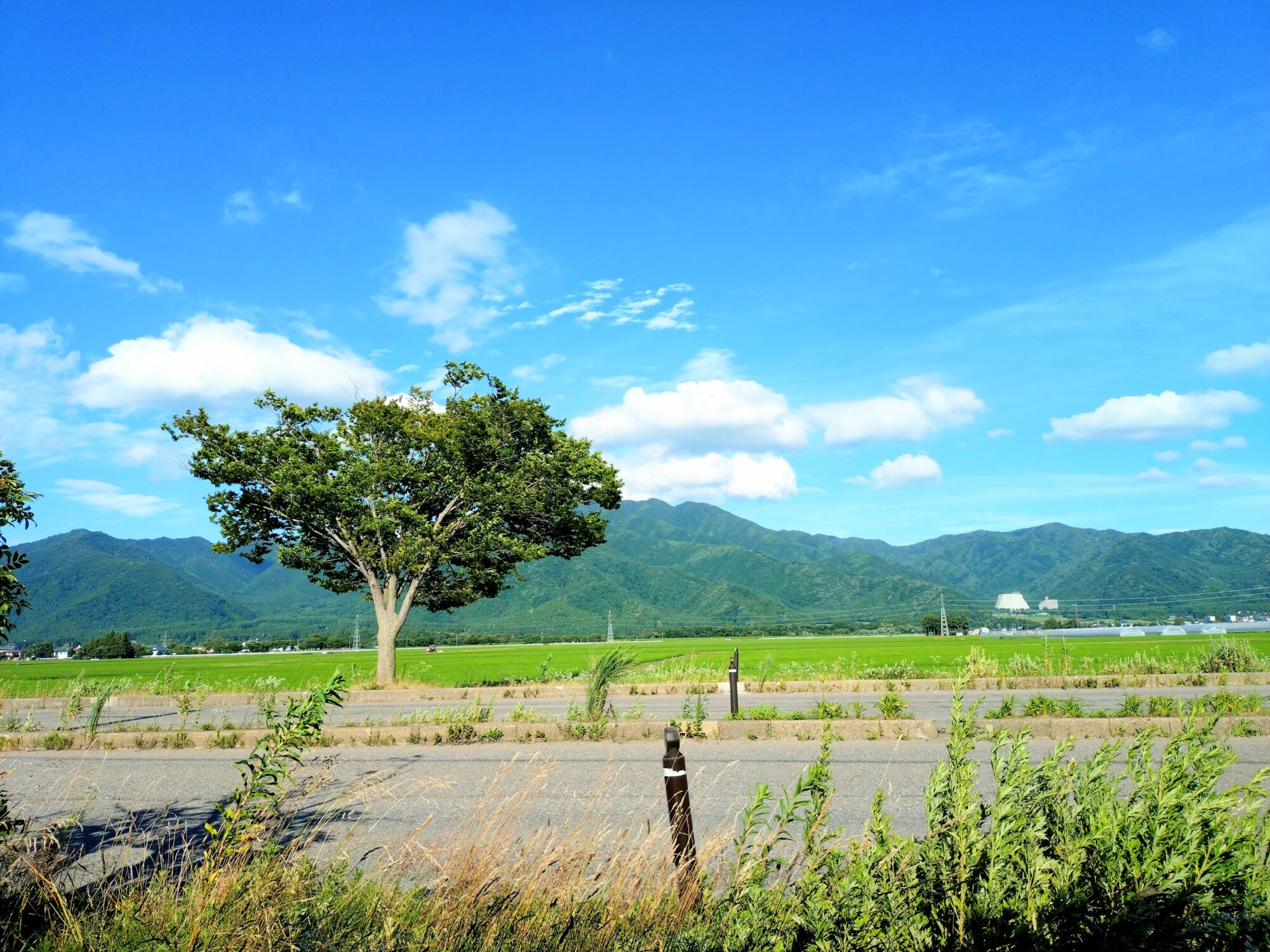 猪苗代町