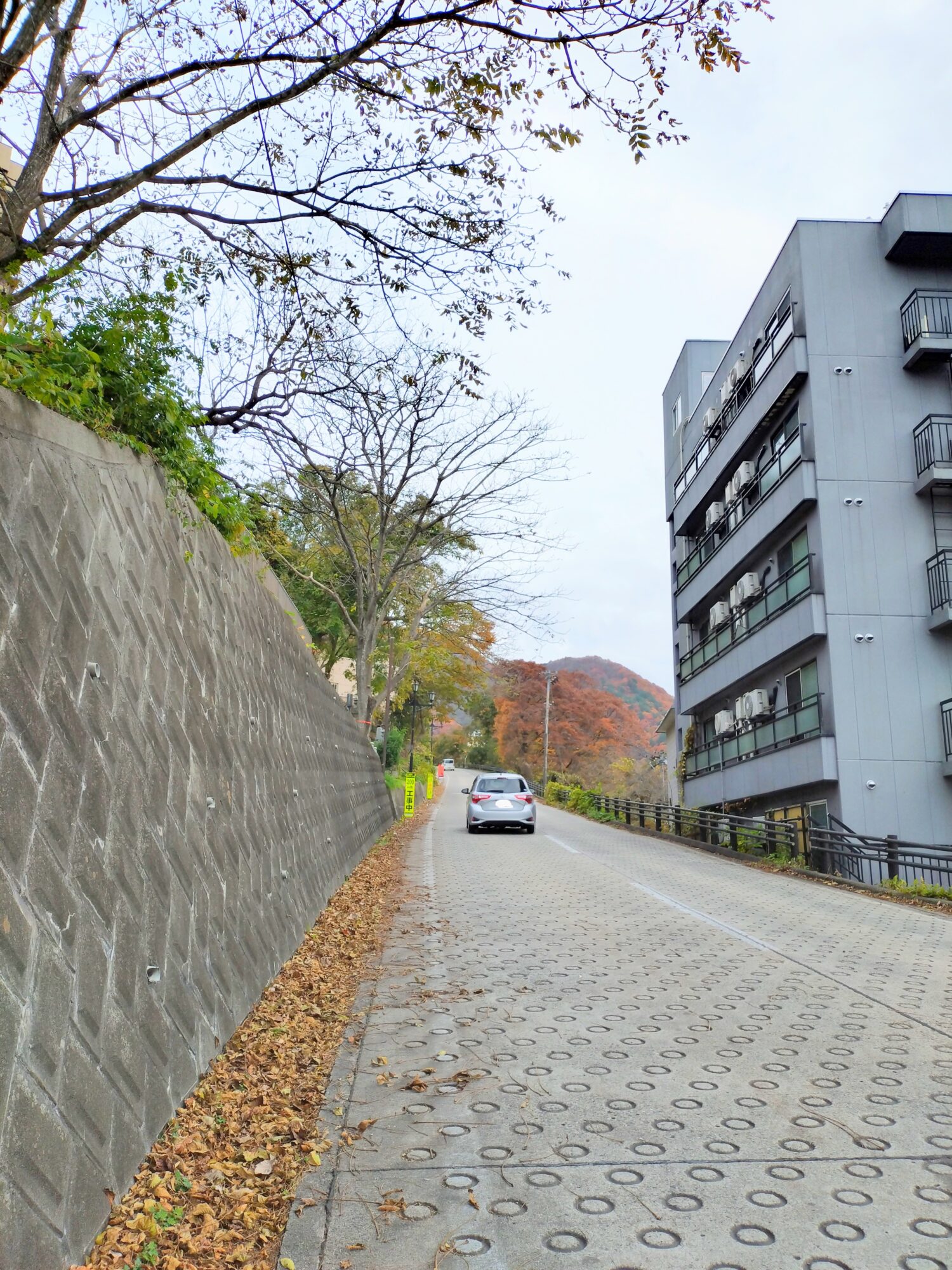 東山温泉街