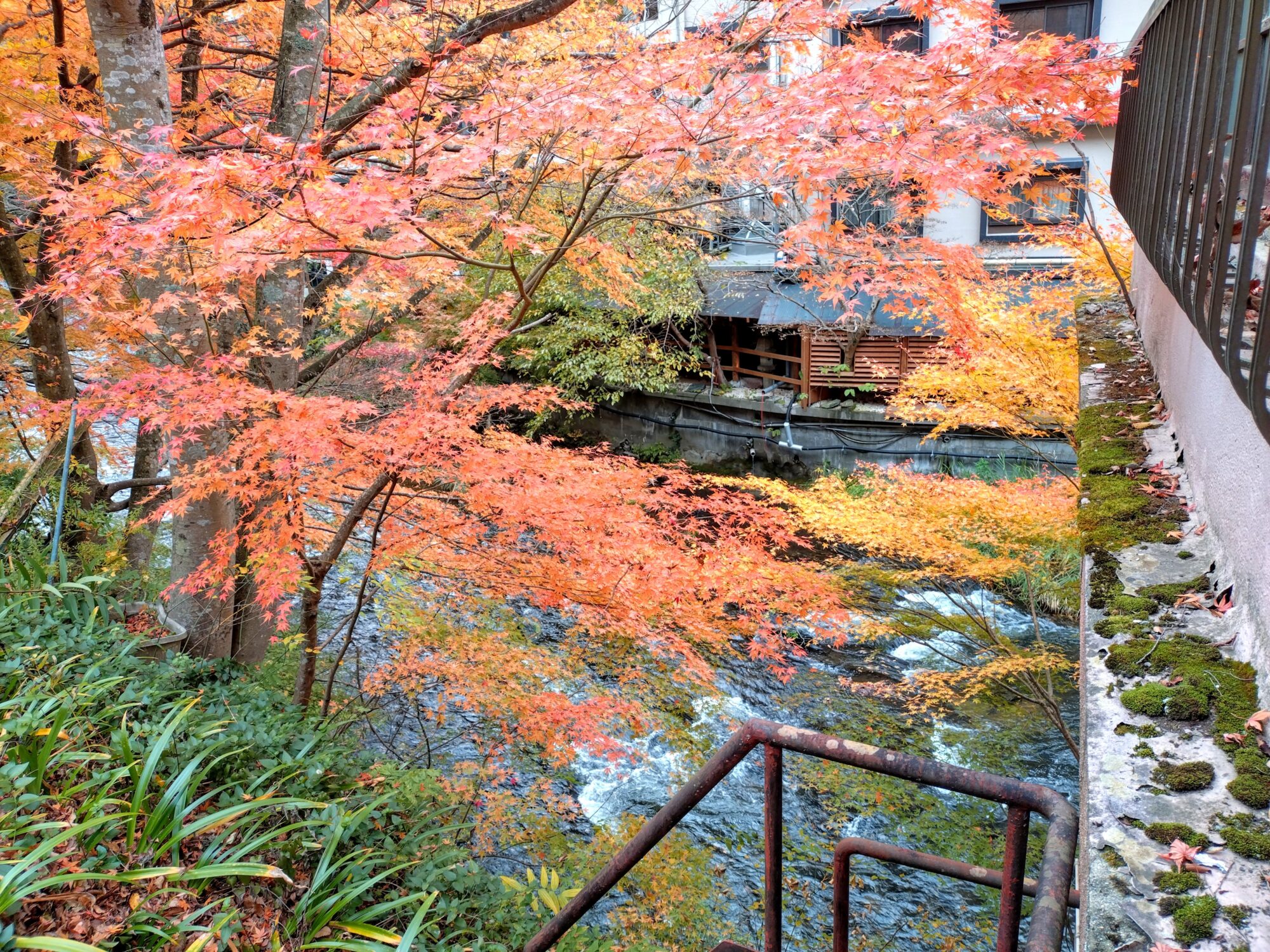 東山温泉街