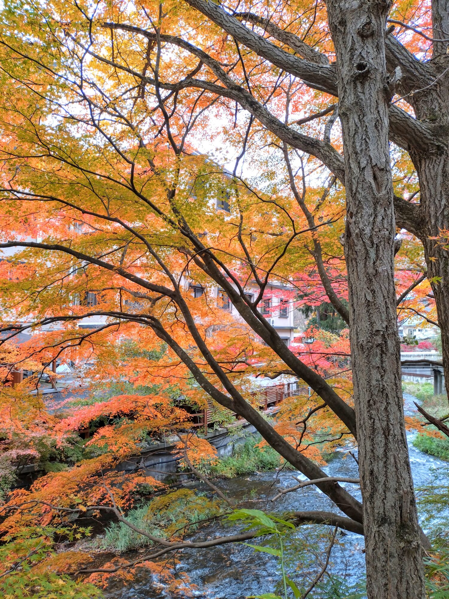 東山温泉街