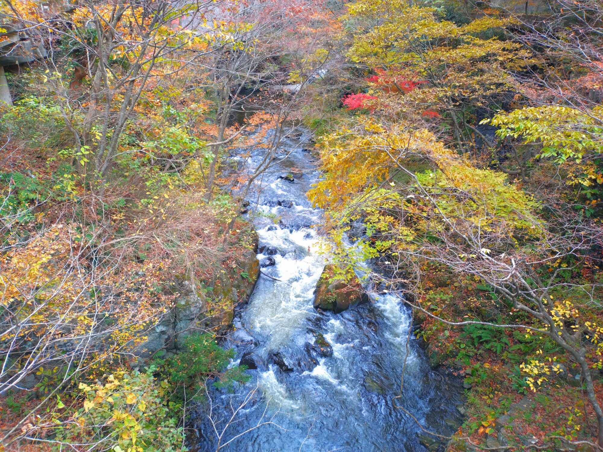 会津若松市