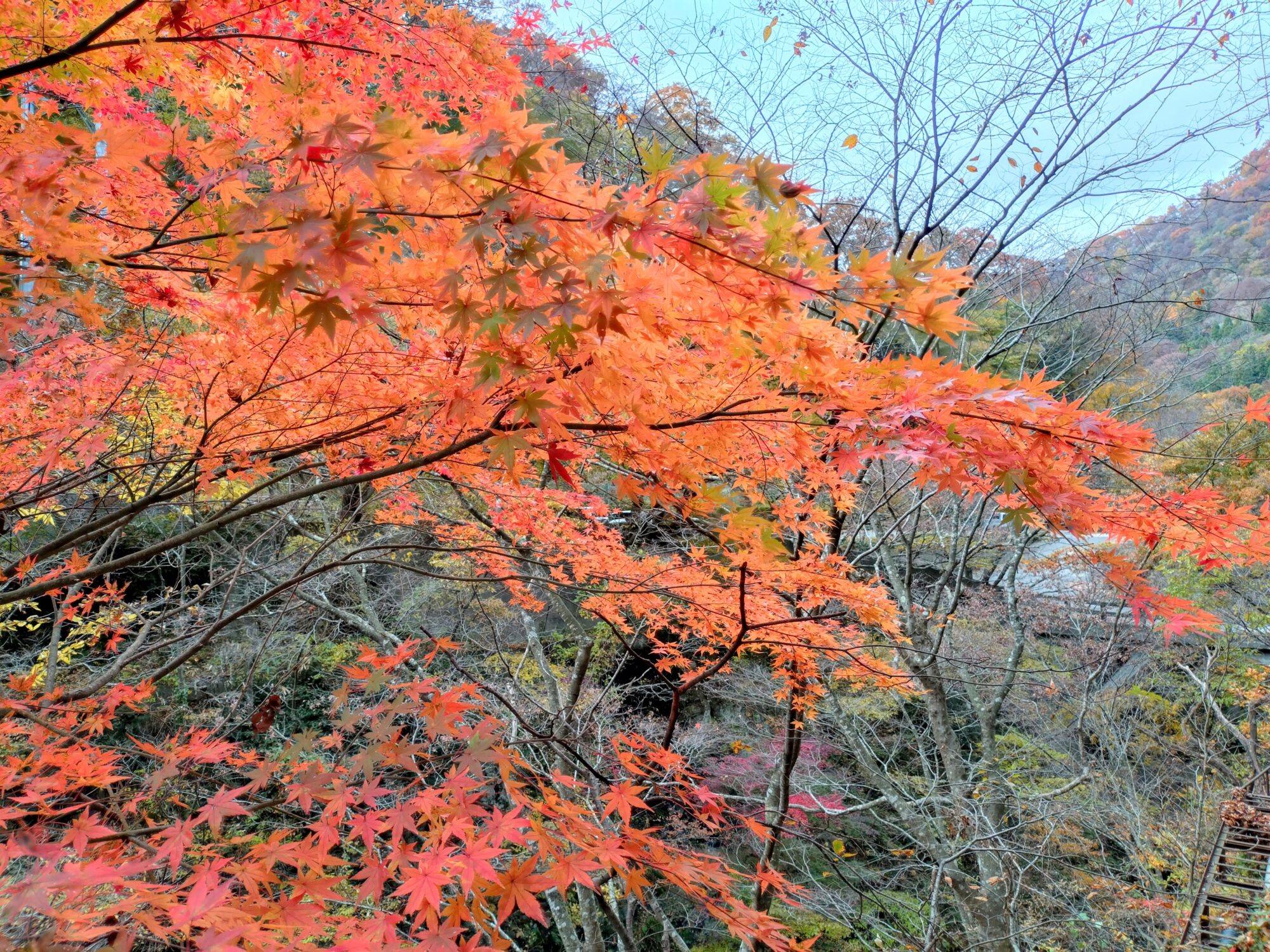 東山温泉街