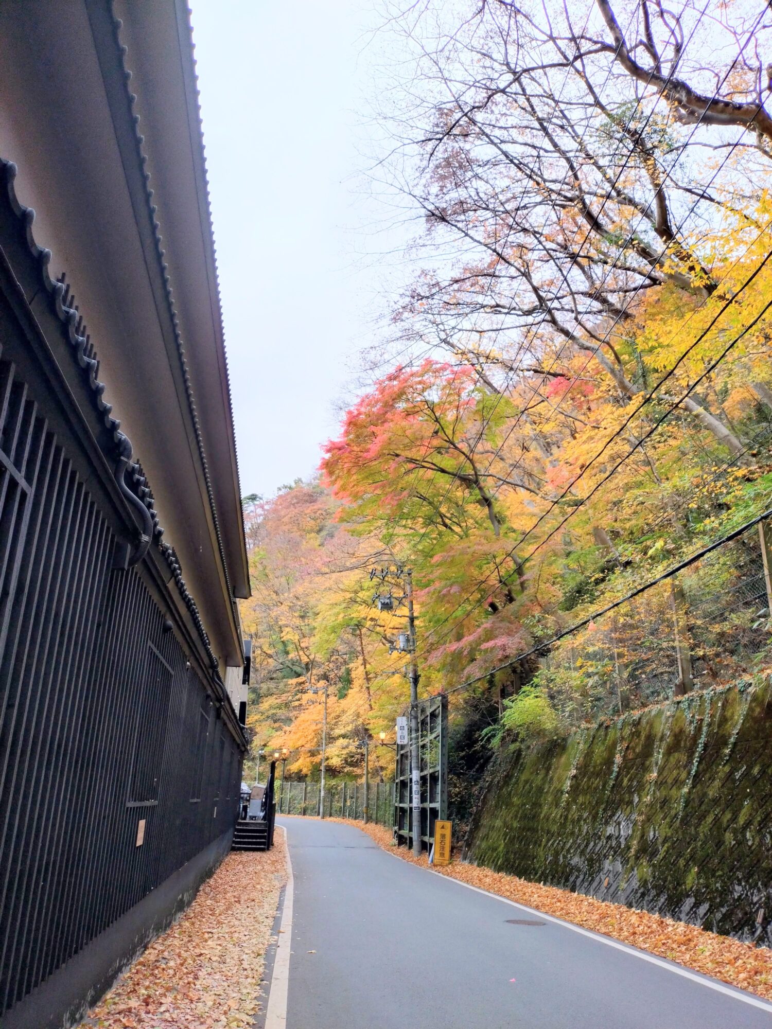 東山温泉