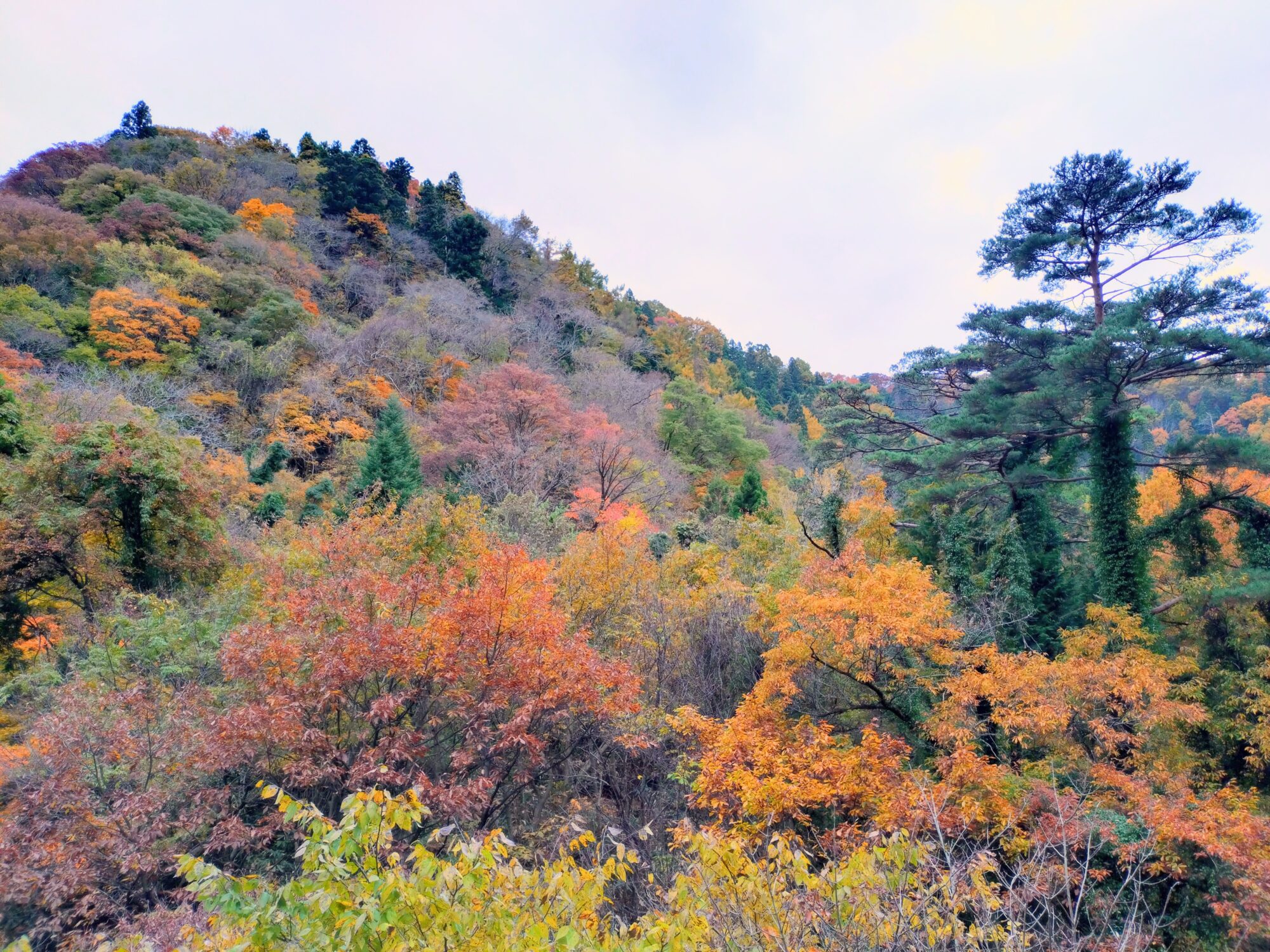 東山温泉街