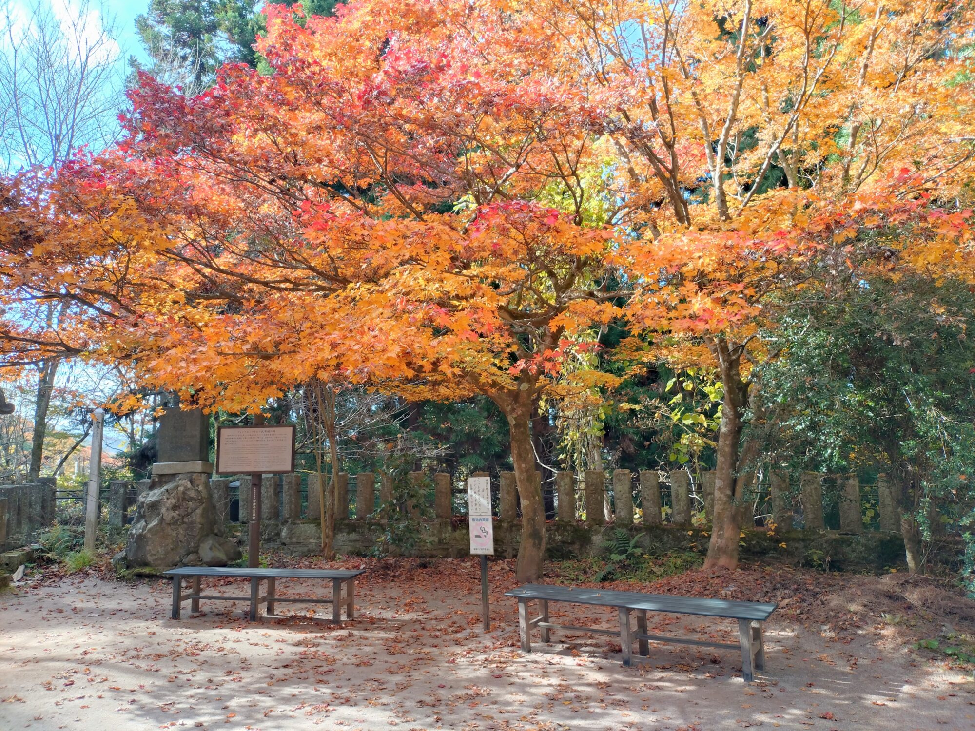 飯盛山