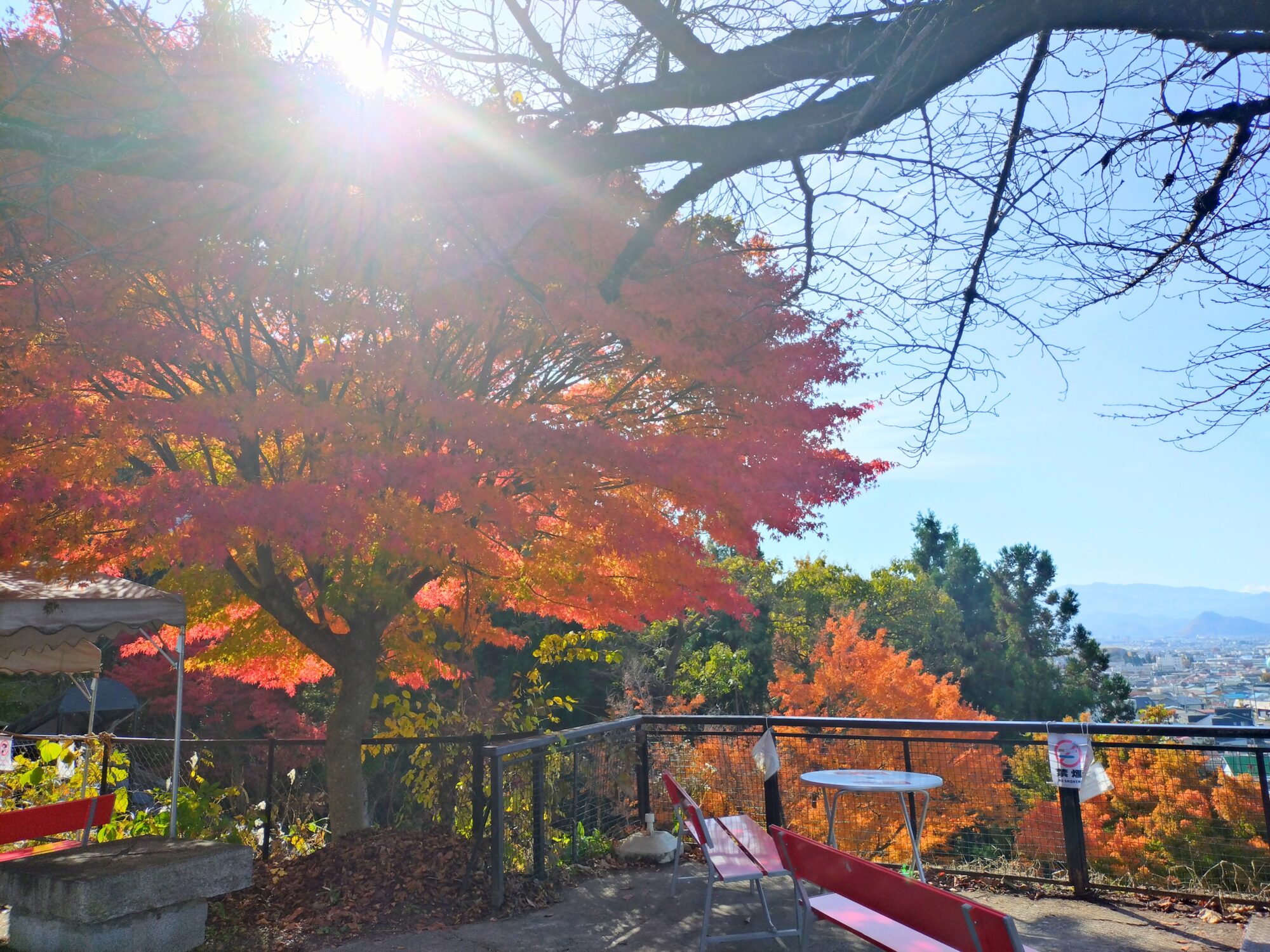 飯盛山