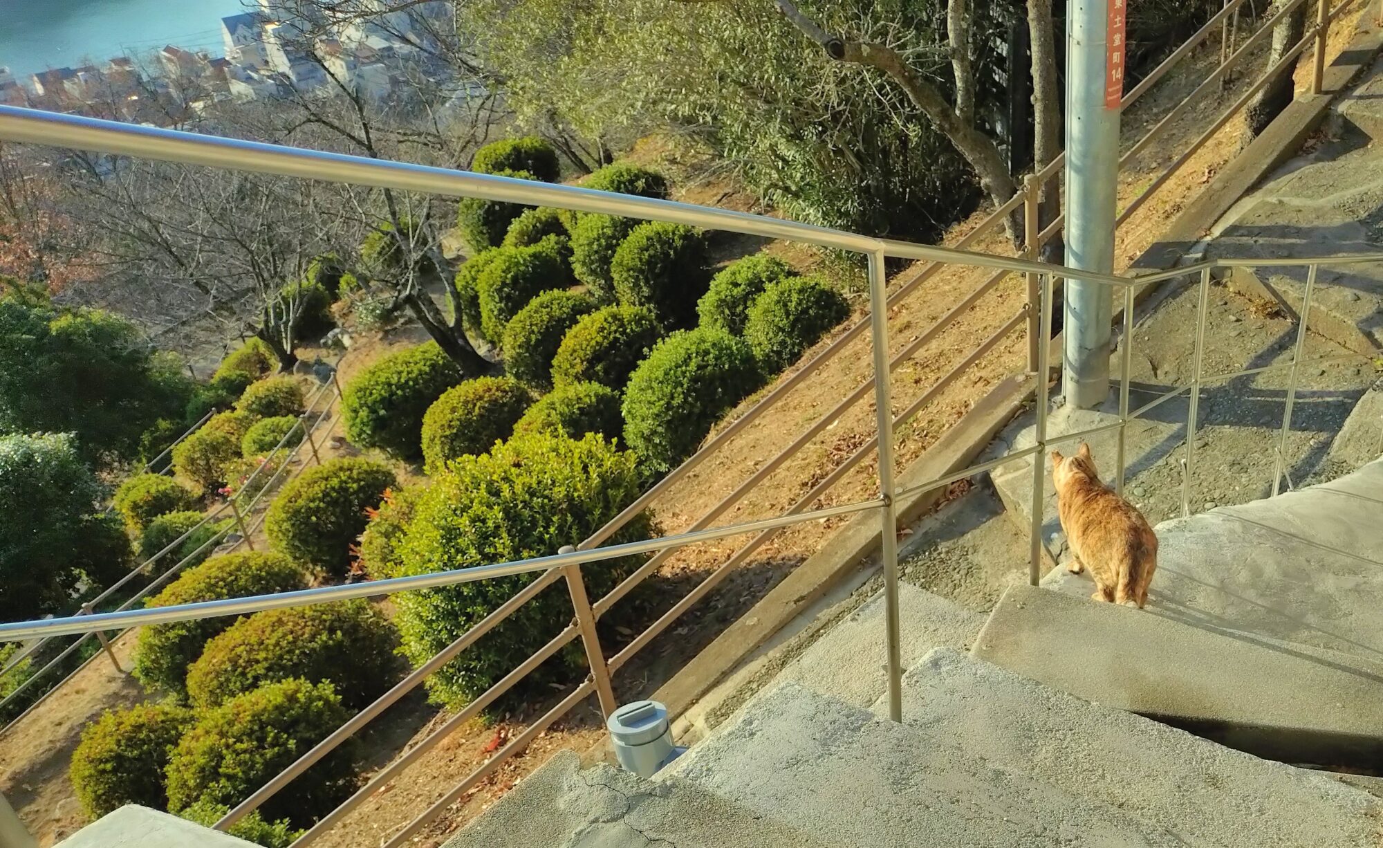 尾道