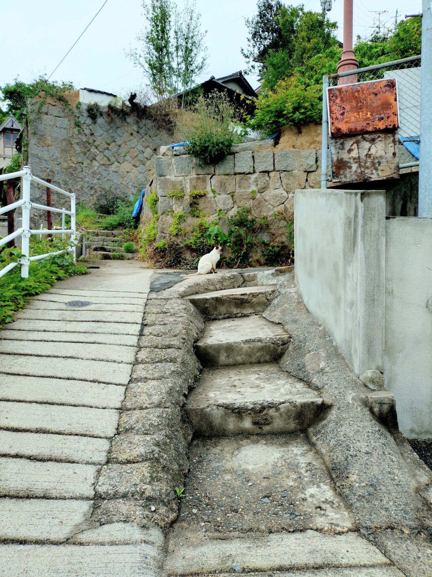 尾道古道