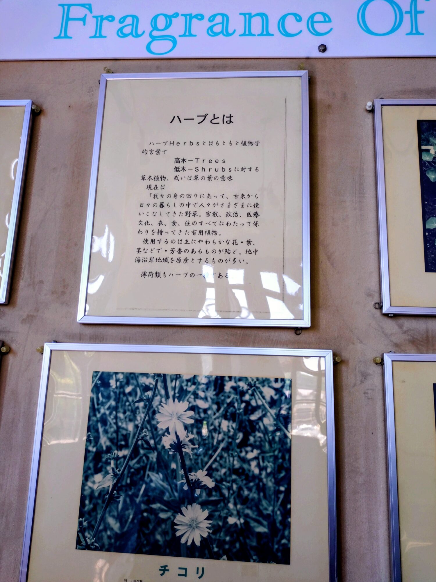 北見市ハッカ記念館